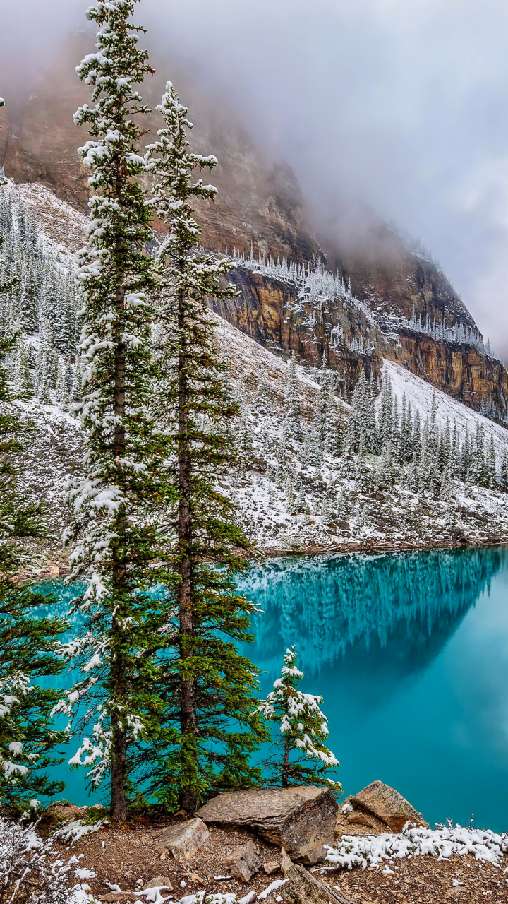 無料モバイル壁紙冬, 木, 雪, 湖, 山, 反射, カナダ, 地球, モレーン湖をダウンロードします。