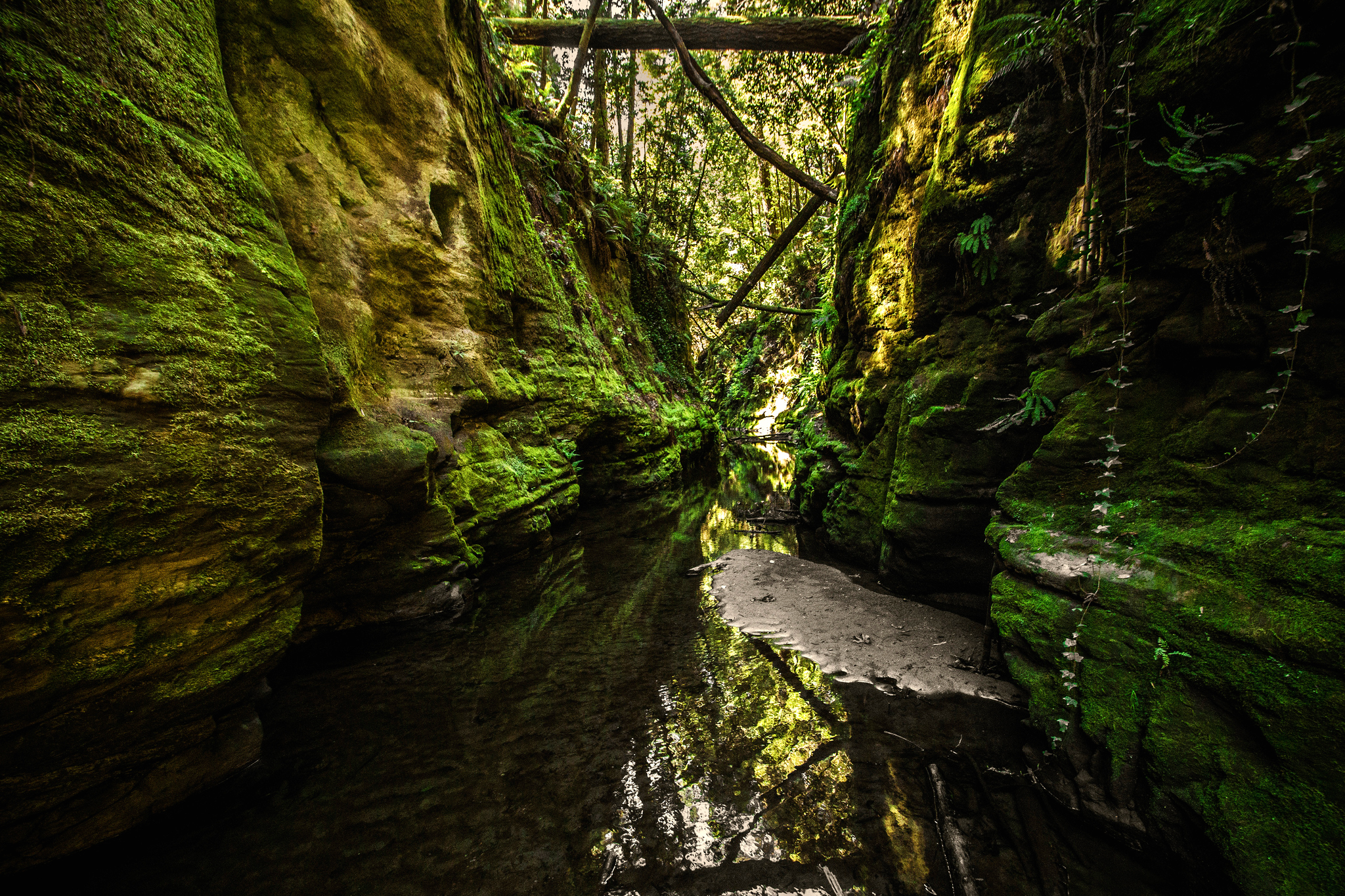 Handy-Wallpaper Natur, Moos, Strom, Erde/natur kostenlos herunterladen.