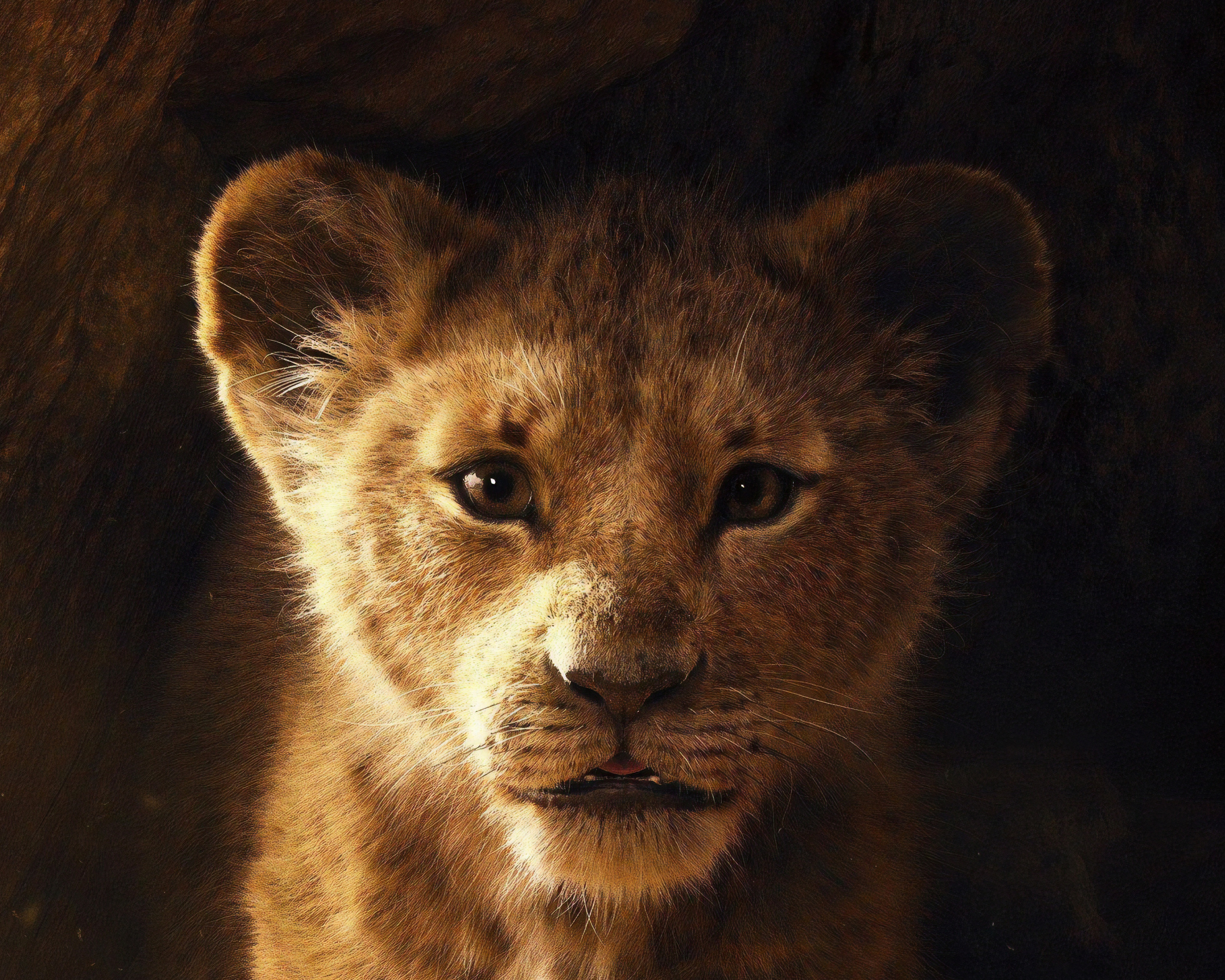 movie, the lion king (2019), lion, simba