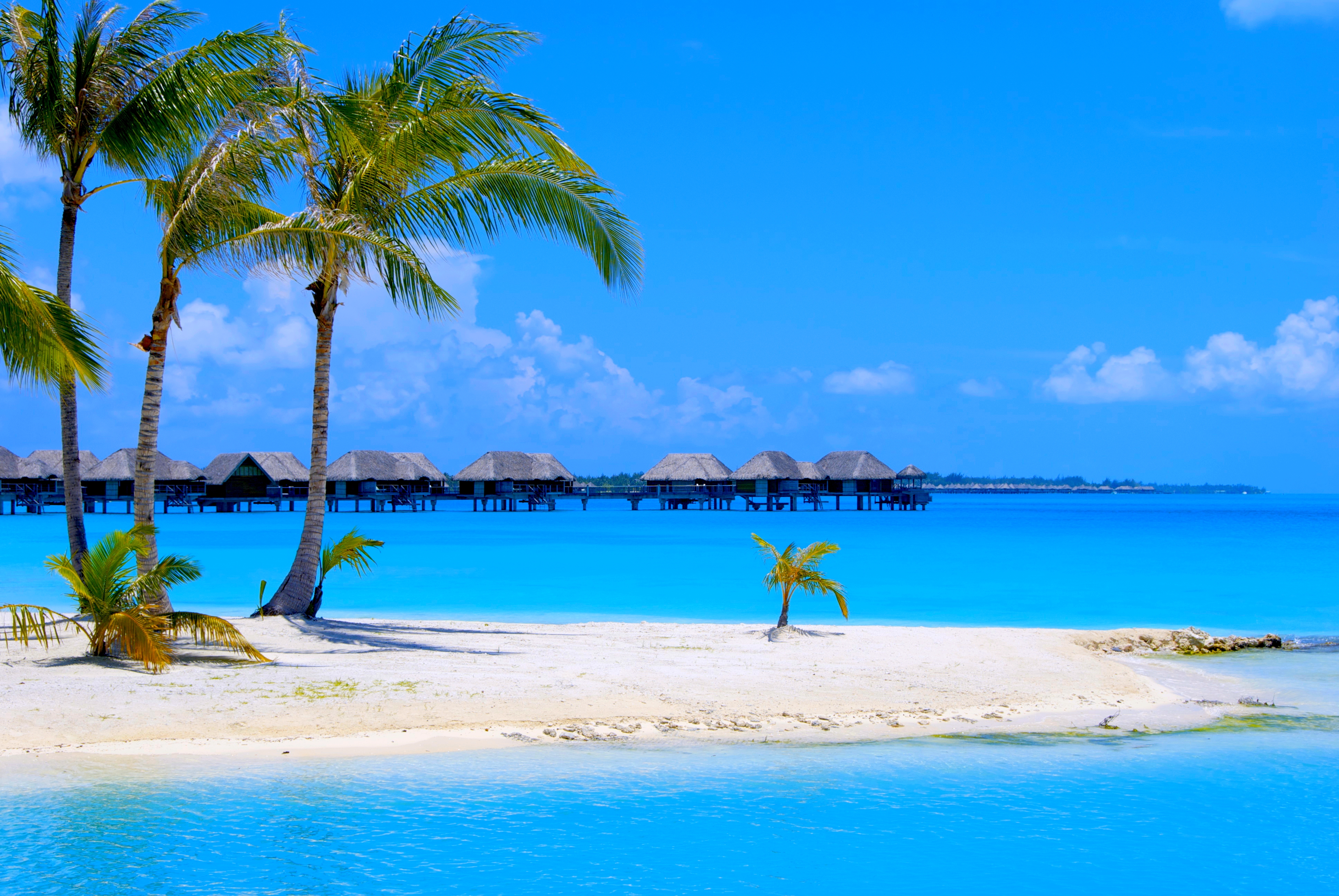 Free download wallpaper Sand, Ocean, Tropics, Tropical, Hut, Resort, Man Made, Palm Tree on your PC desktop