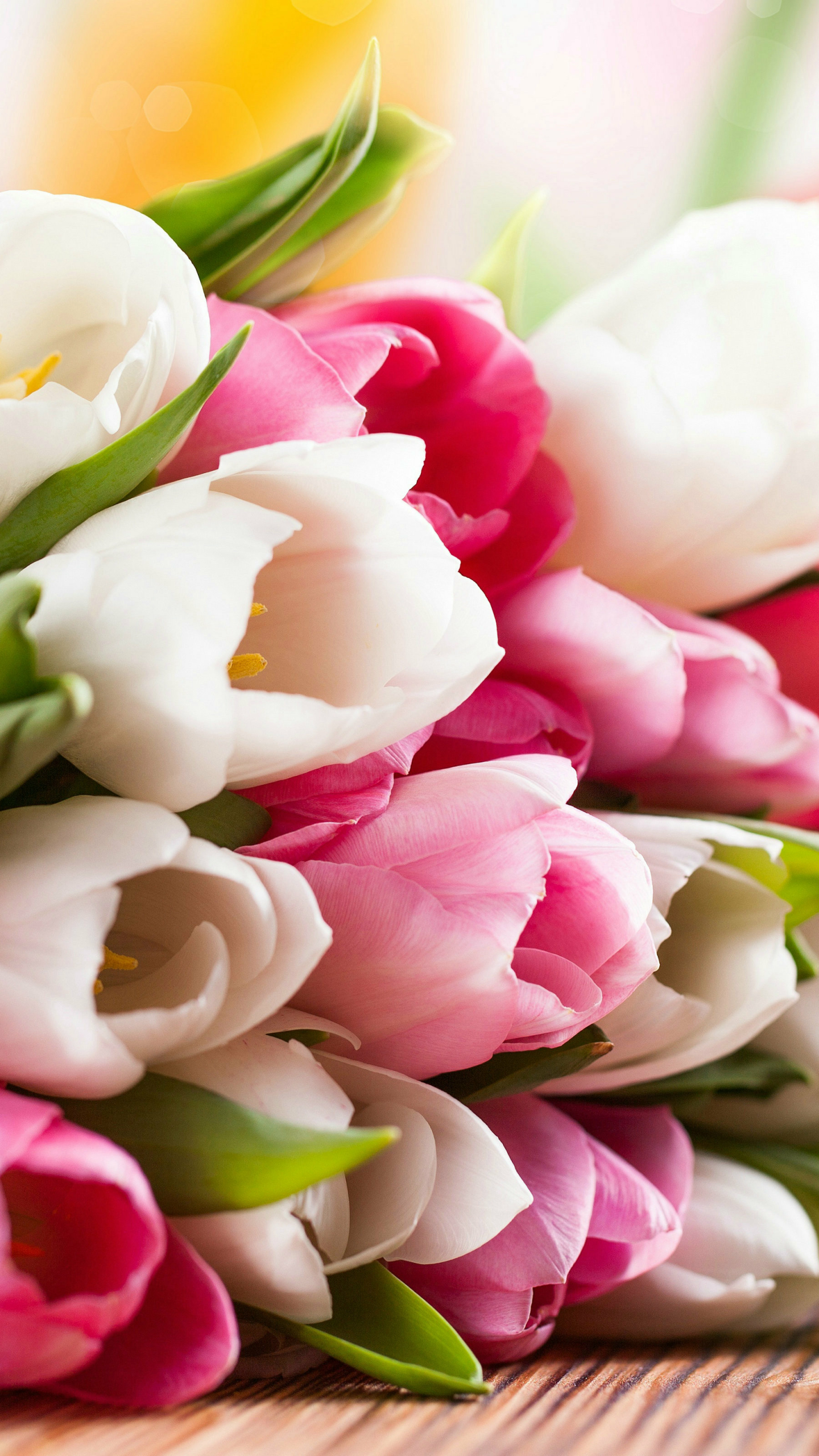 Free download wallpaper Flowers, Flower, Close Up, Bouquet, Earth, Tulip, White Flower, Pink Flower on your PC desktop