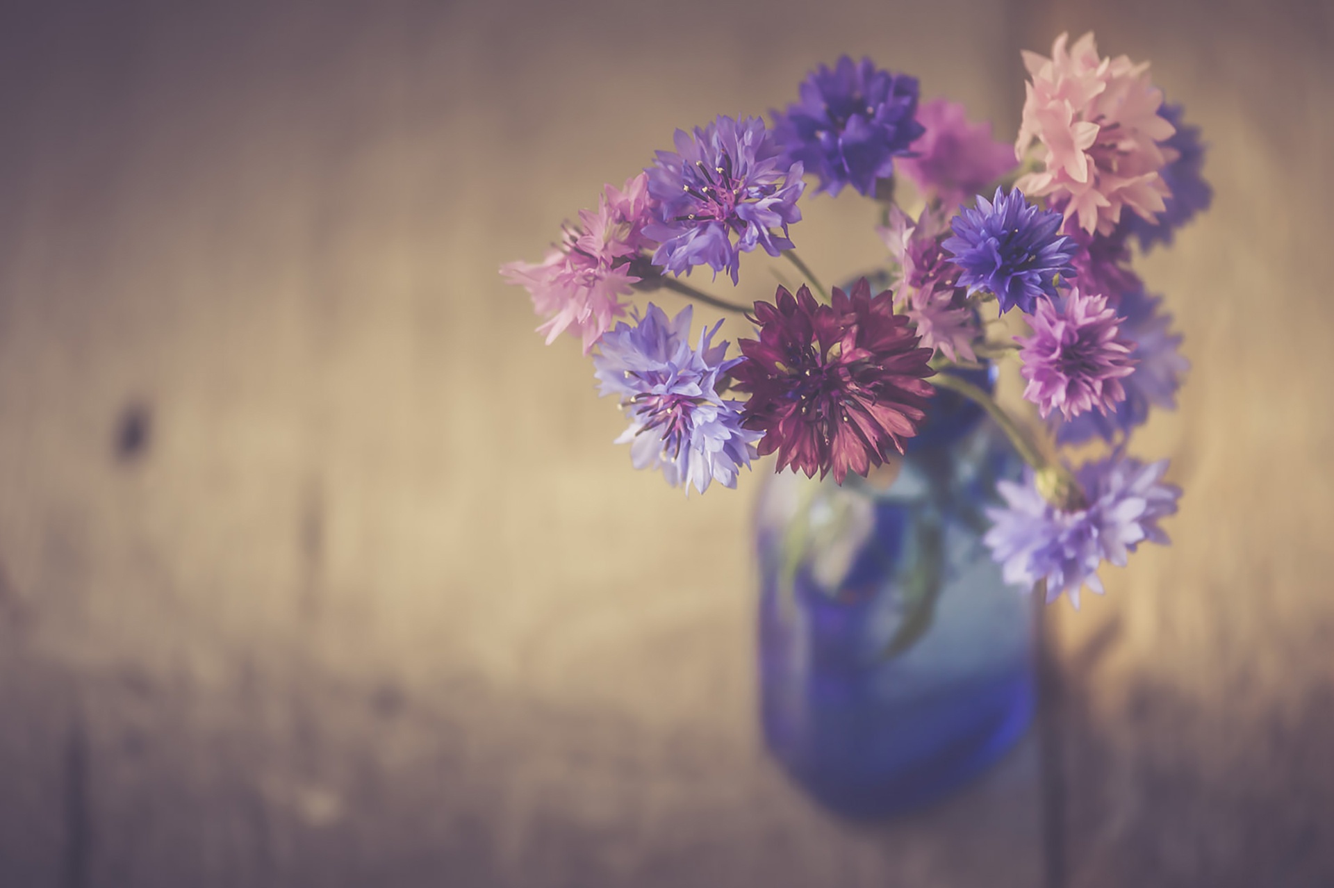 無料モバイル壁紙静物, 花, 花瓶, 写真撮影, 青い花, 紫色の花をダウンロードします。