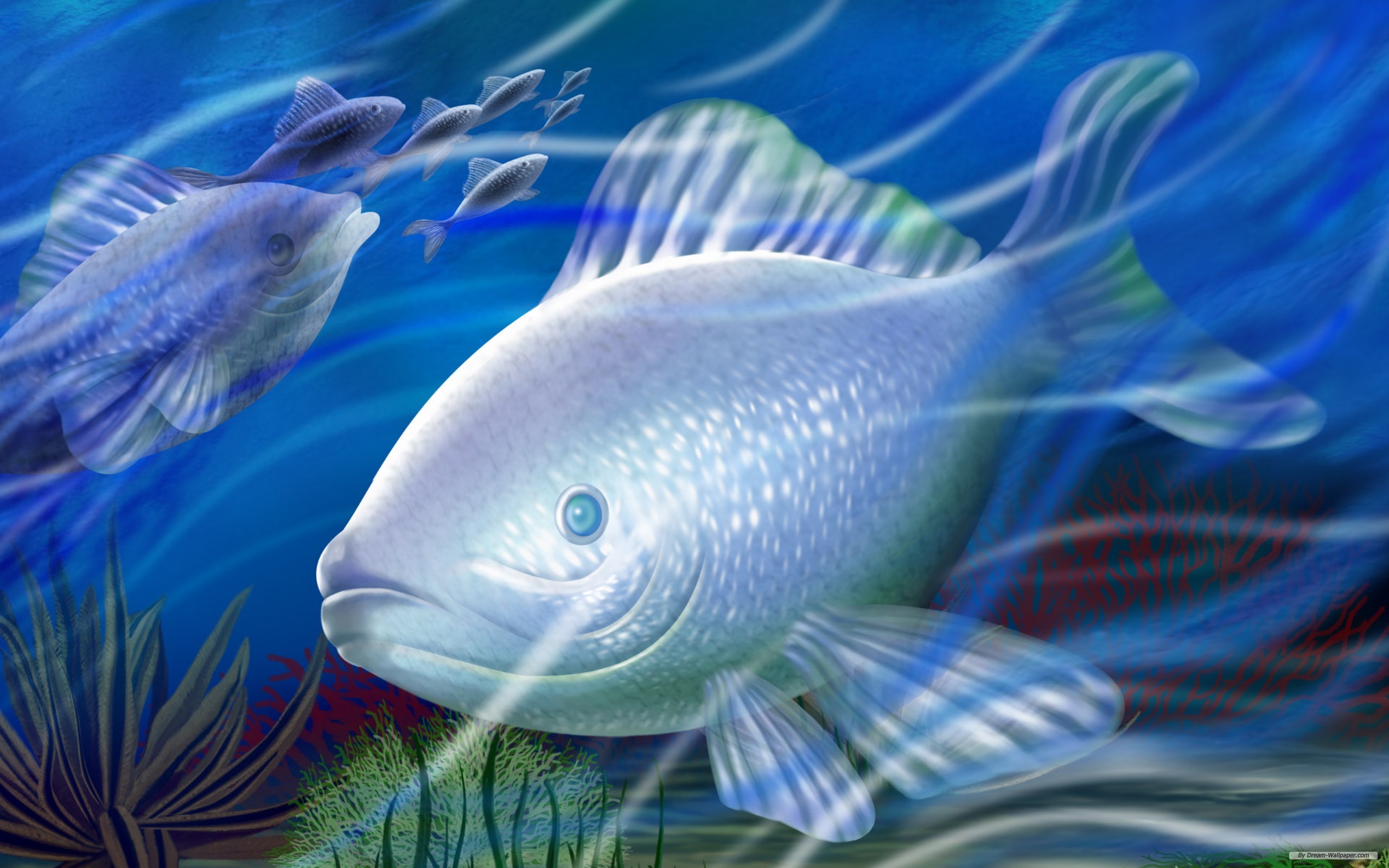 PCデスクトップに動物, 魚, 魚類画像を無料でダウンロード