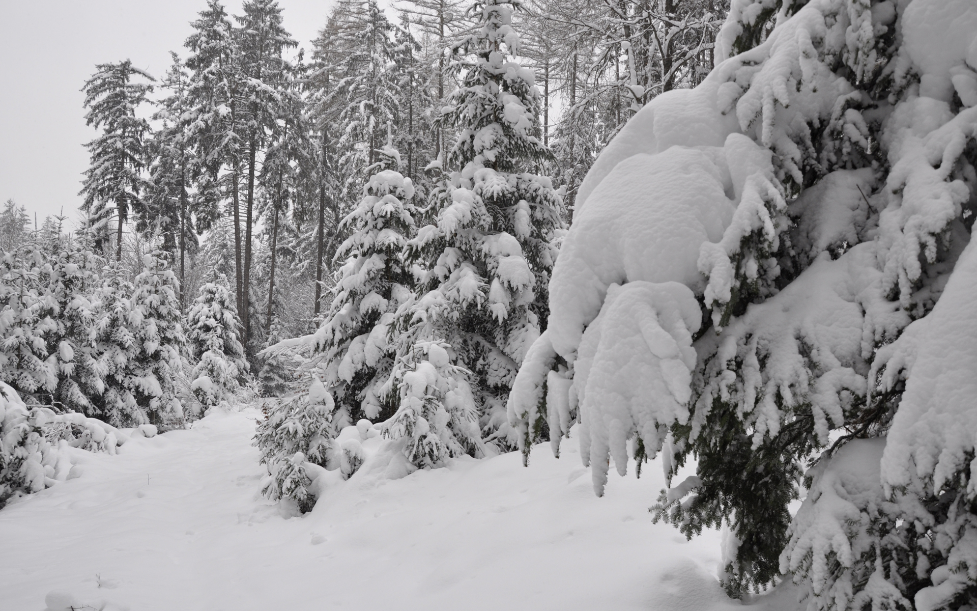 Téléchargez des papiers peints mobile Hiver, Terre/nature gratuitement.