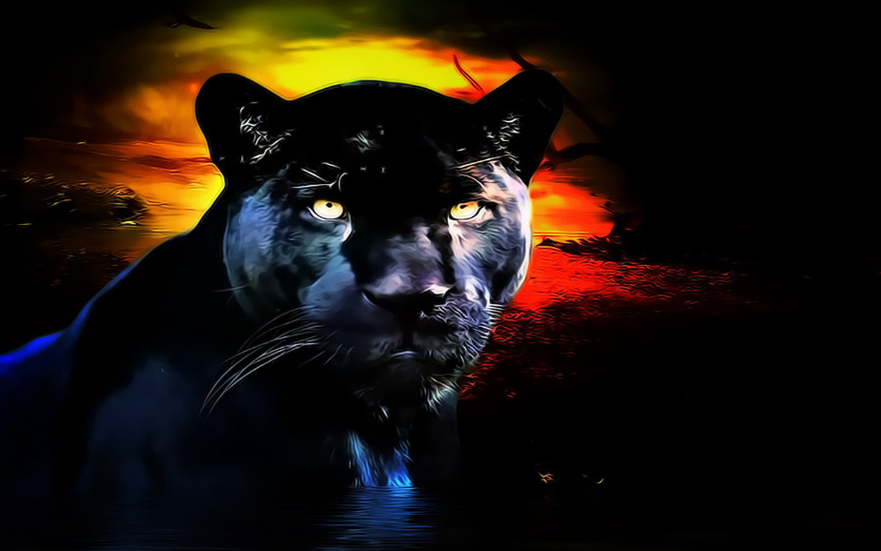 1456459 Hintergrundbild herunterladen panther, tiere, schwarzer panther - Bildschirmschoner und Bilder kostenlos