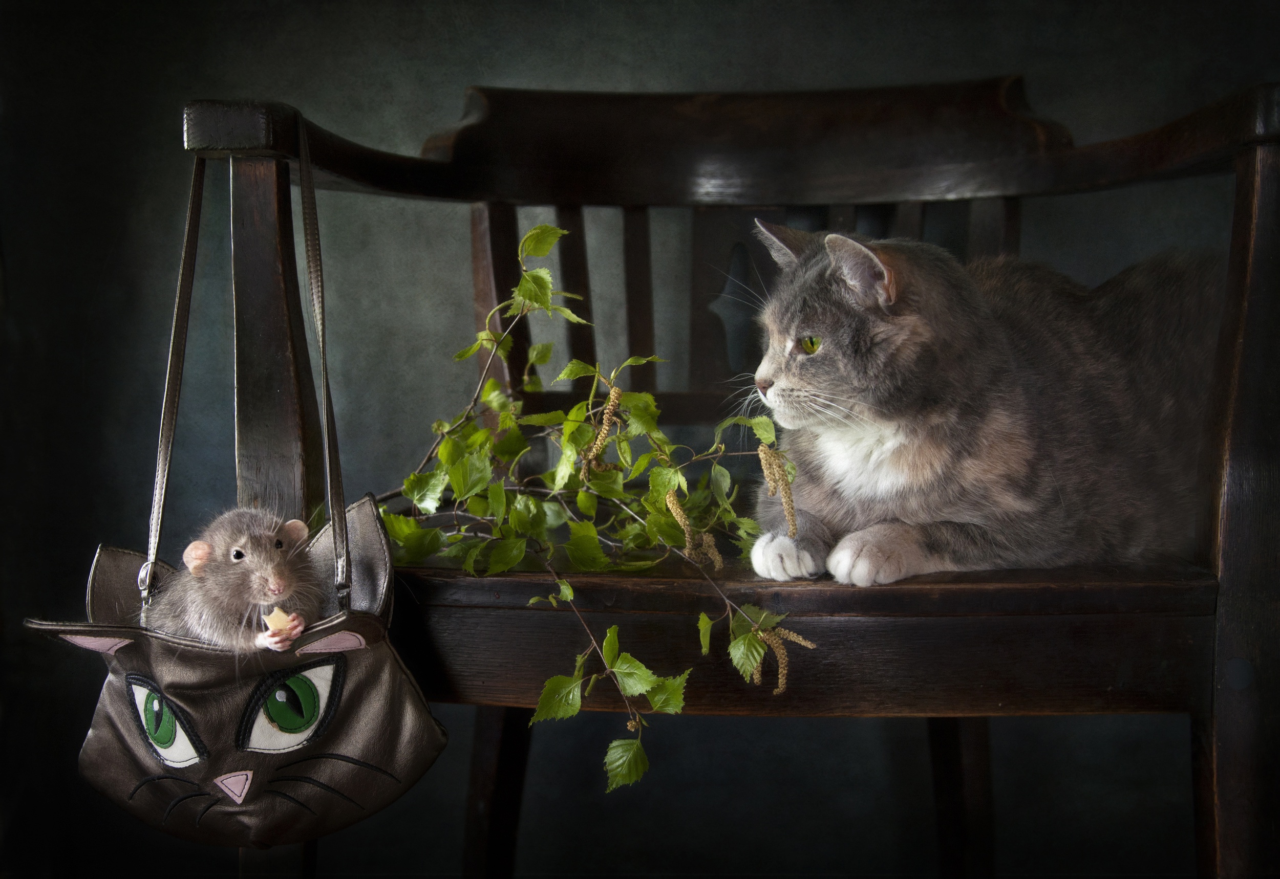 Download mobile wallpaper Cats, Cat, Chair, Animal, Mouse for free.