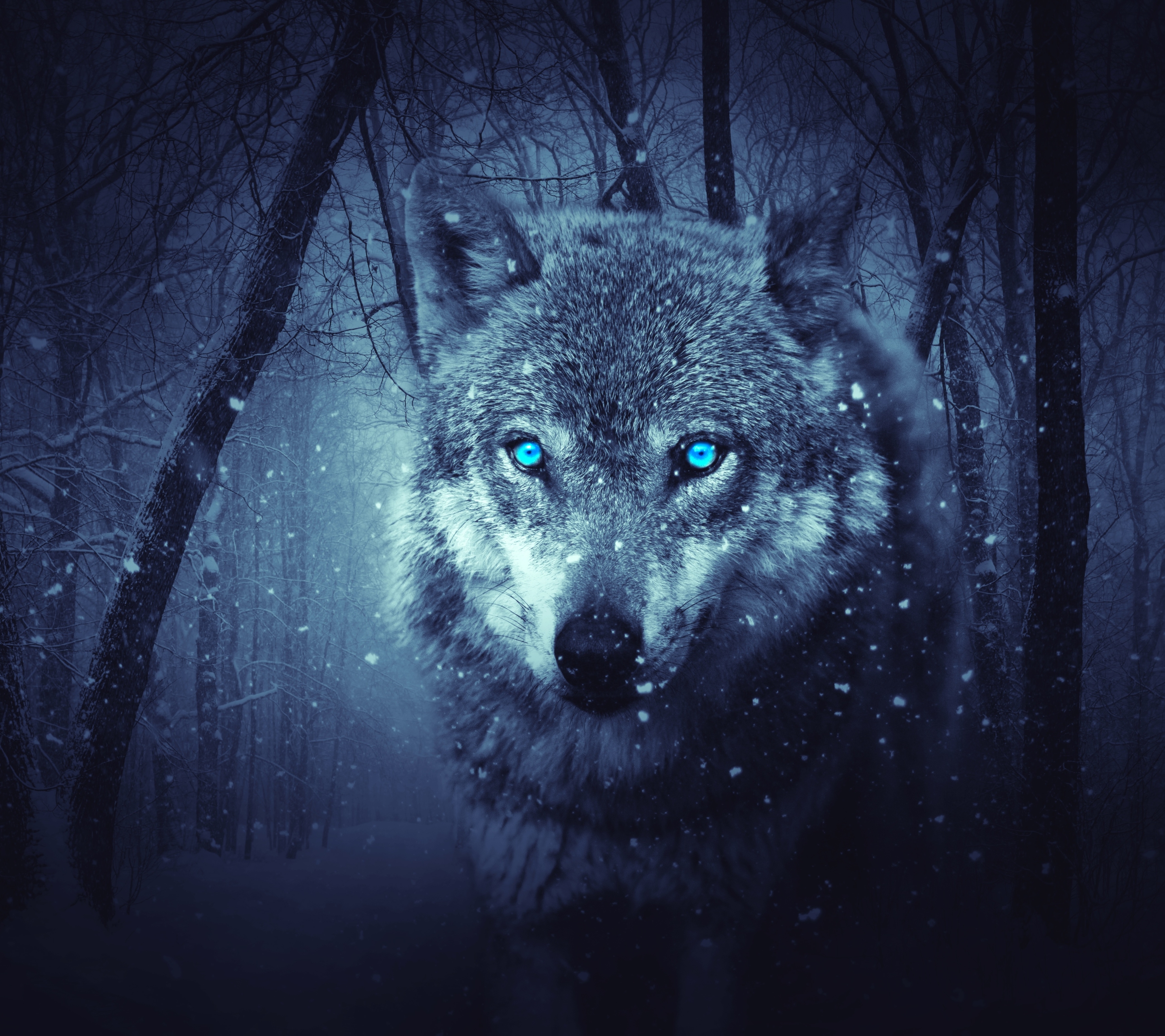 Download mobile wallpaper Fantasy, Forest, Wolf, Snowfall, Blue Eyes, Fantasy Animals for free.