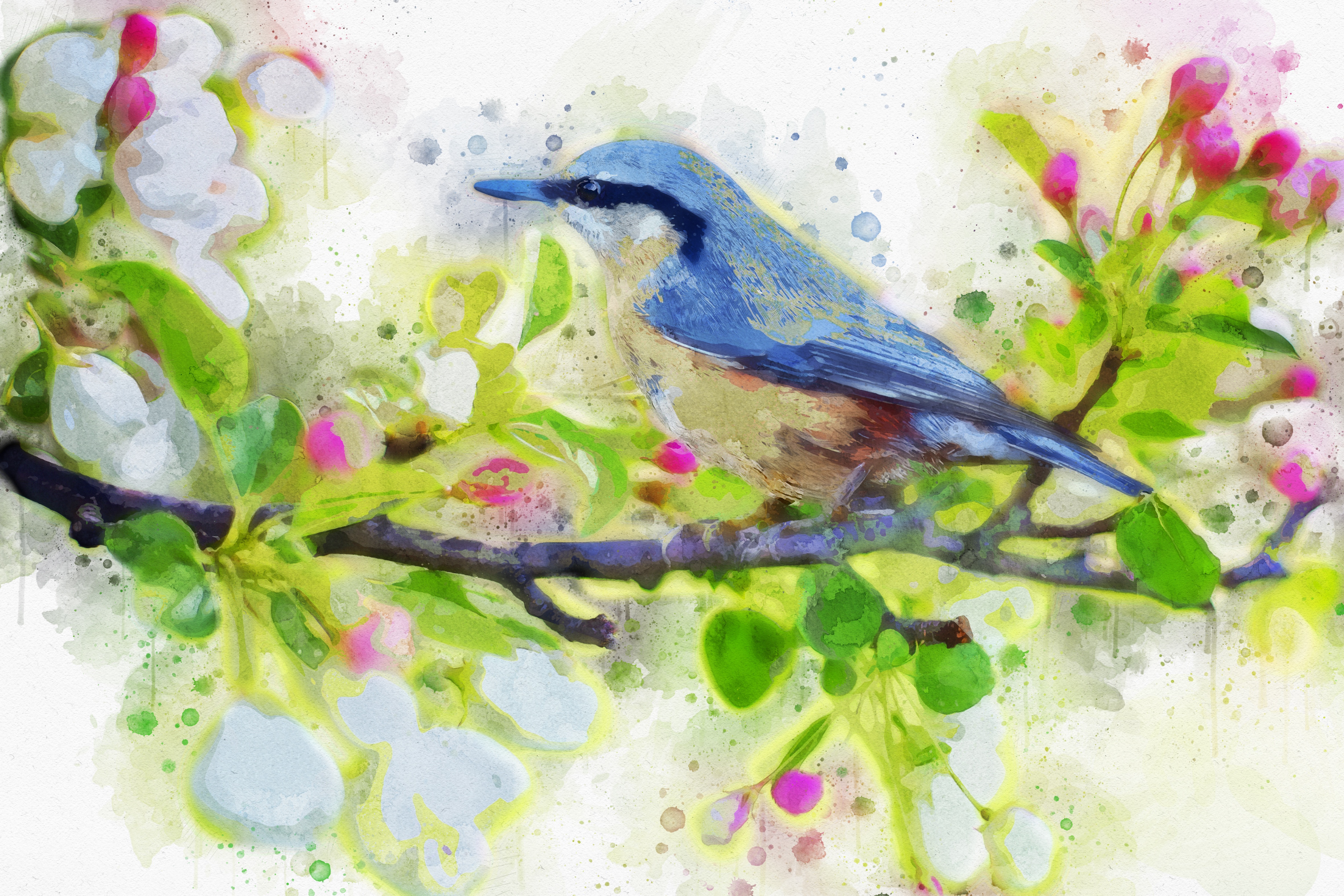 watercolor, animal, bird, branch, birds