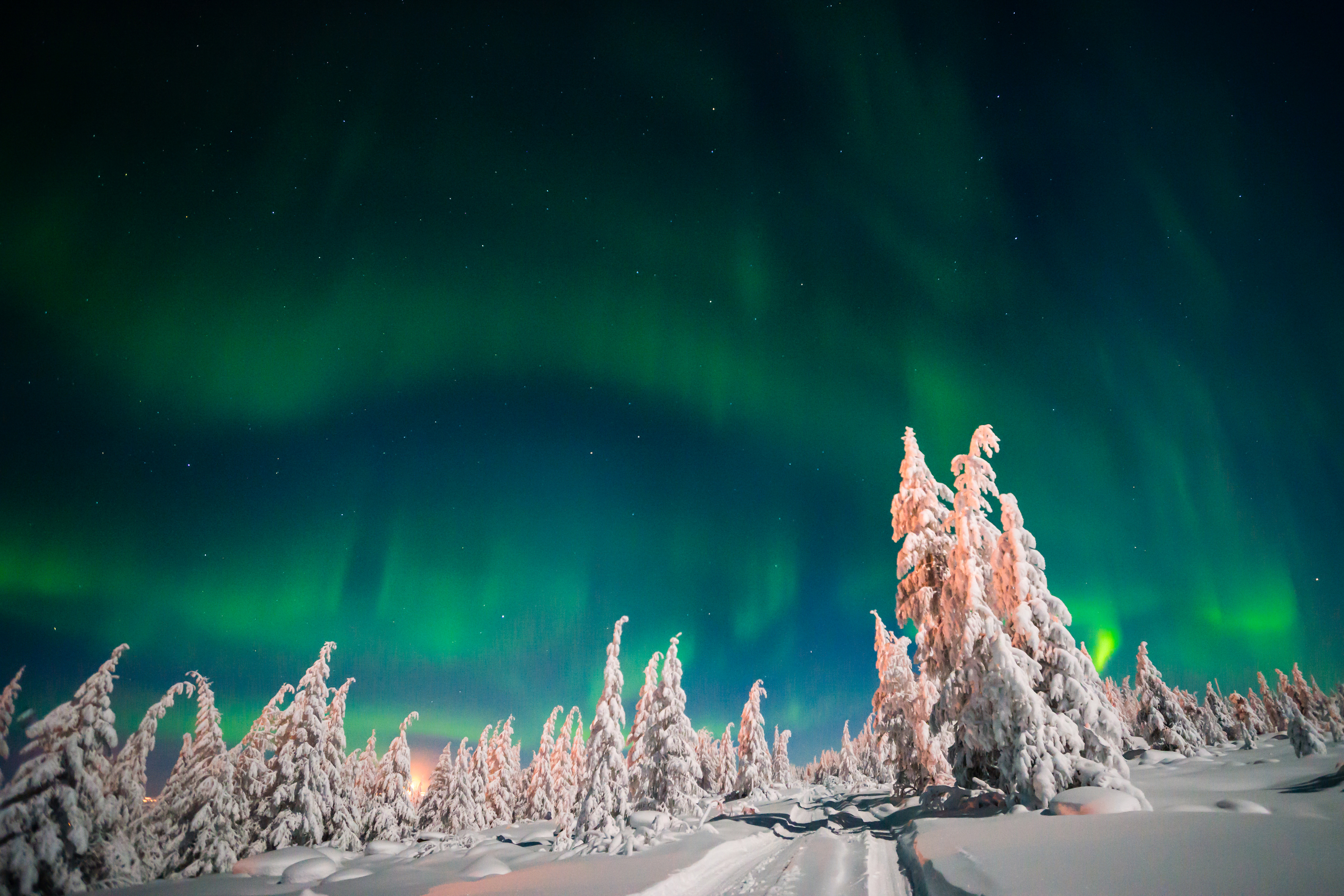Free download wallpaper Winter, Nature, Sky, Snow, Light, Tree, Starry Sky, Earth, Aurora Borealis on your PC desktop