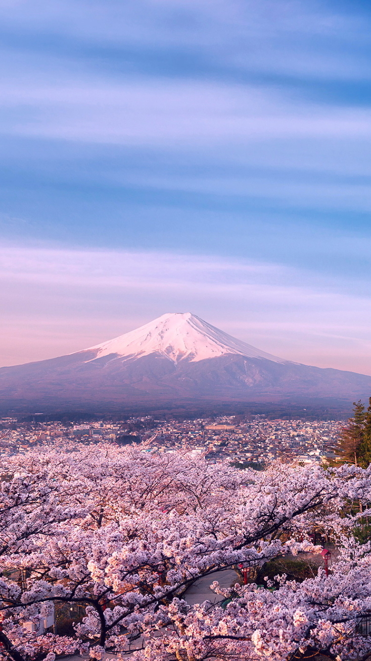 Скачать картинку Сакура, Цветок, Пагода, Япония, Гора Фудзи, Вулканы, Земля/природа в телефон бесплатно.