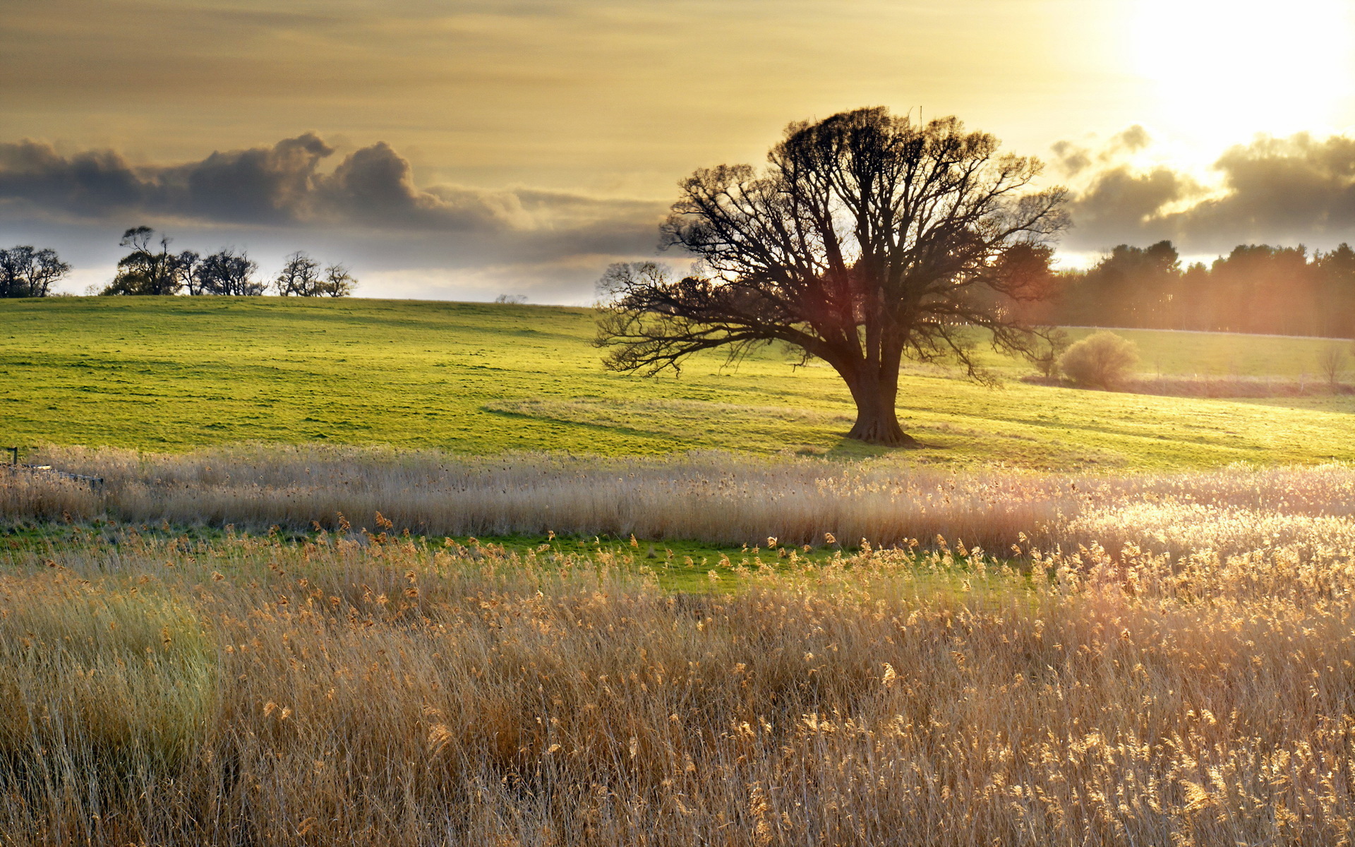 Téléchargez gratuitement l'image Paysage, Terre/nature sur le bureau de votre PC