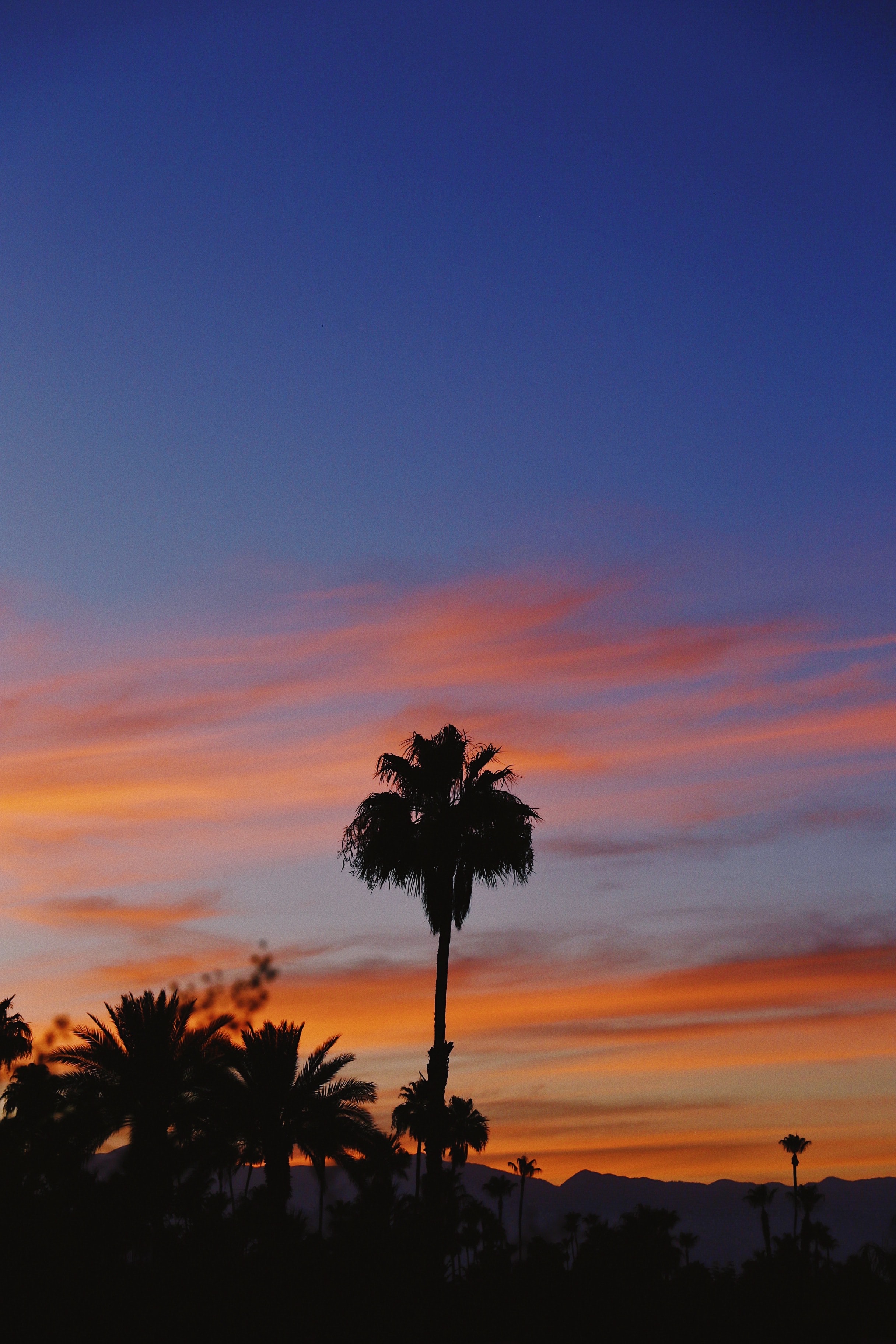 Free download wallpaper Sky, Tropical, Nature, Sunset, Palms on your PC desktop
