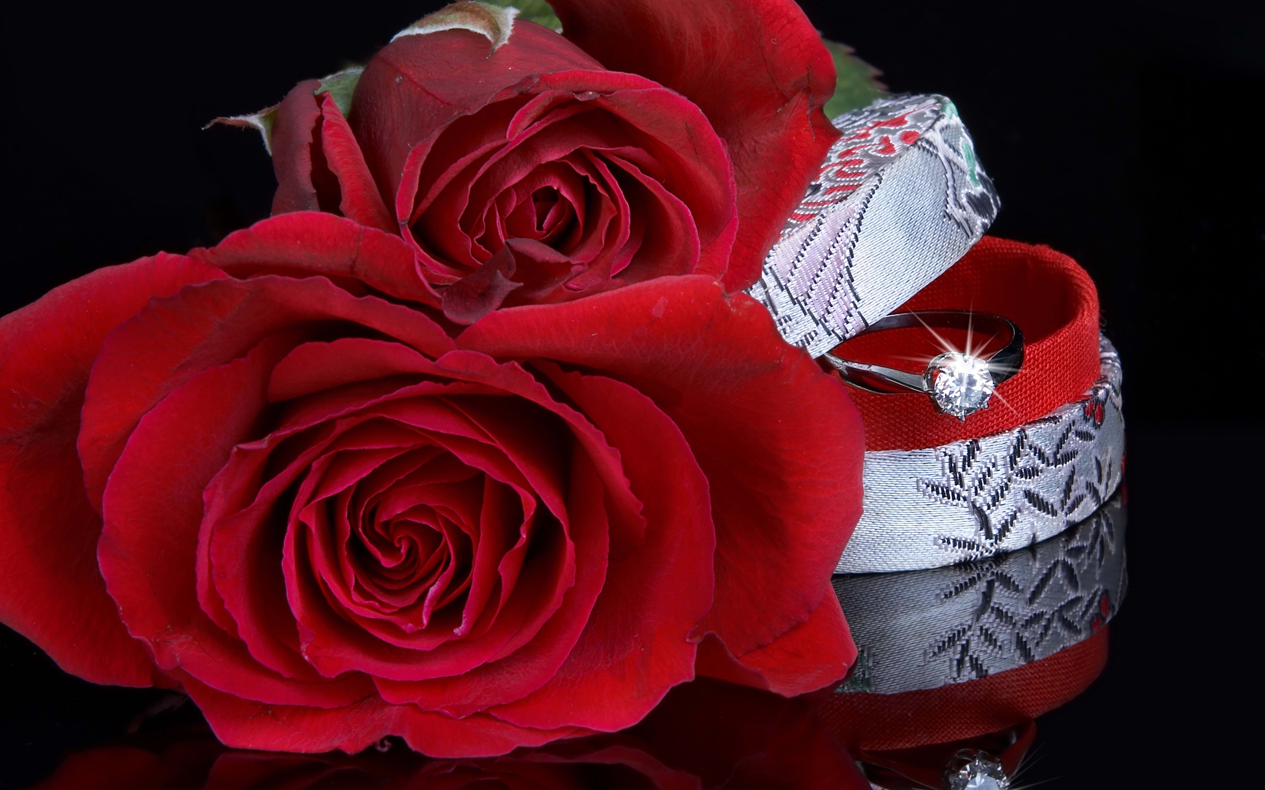 577757壁紙のダウンロードホリデー, 結婚式, 花, 指輪, 薔薇-スクリーンセーバーと写真を無料で