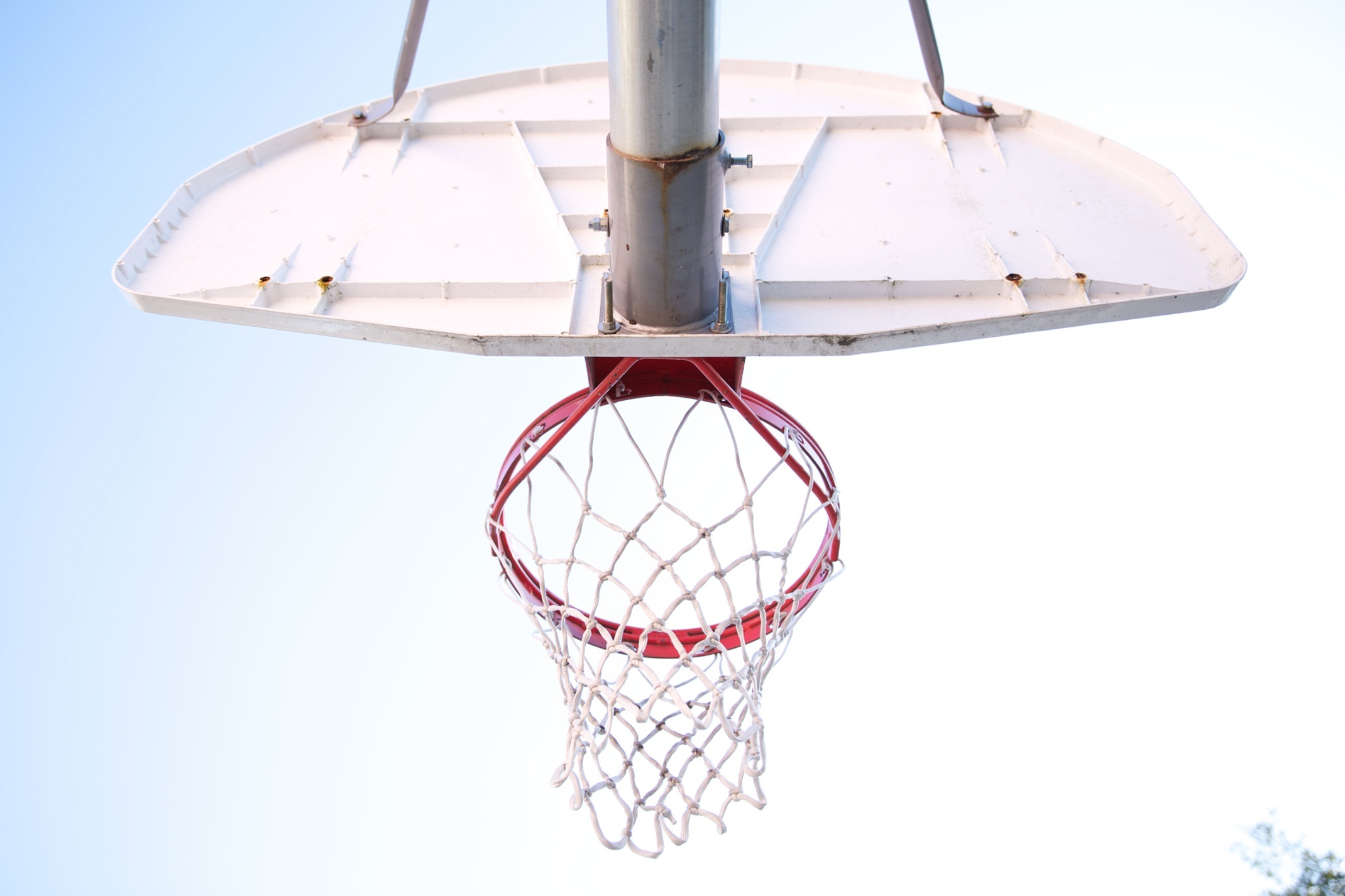 sports, basketball, grid, basketball hoop, basketball ring