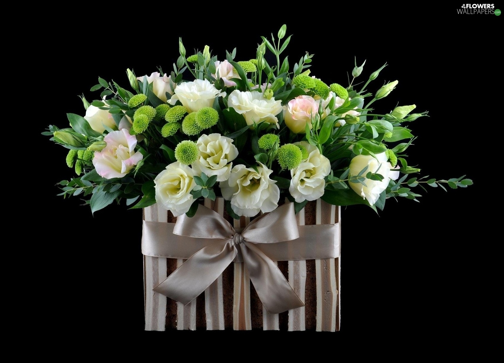 Download mobile wallpaper Flower, Gift, Tulip, White Flower, Man Made for free.