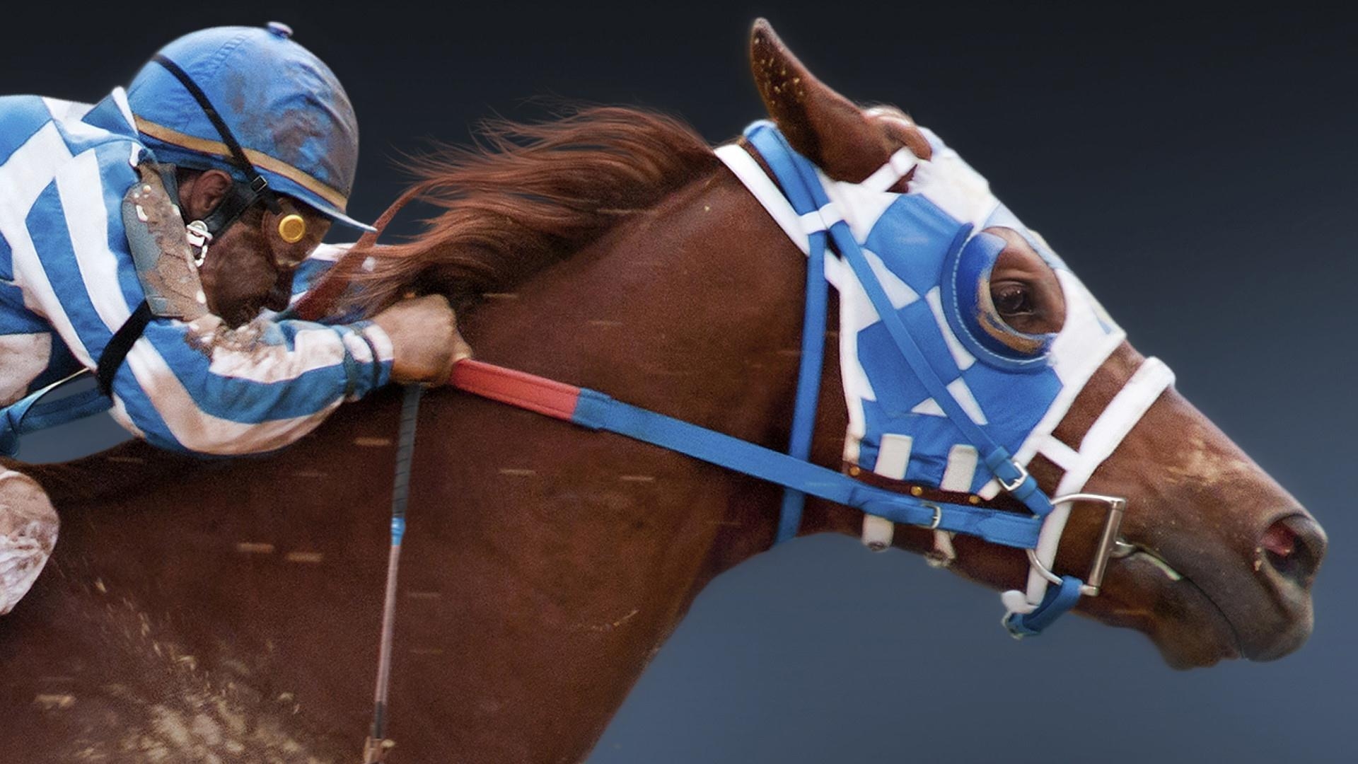 Laden Sie Secretariat Ein Pferd Wird Zur Legende HD-Desktop-Hintergründe herunter
