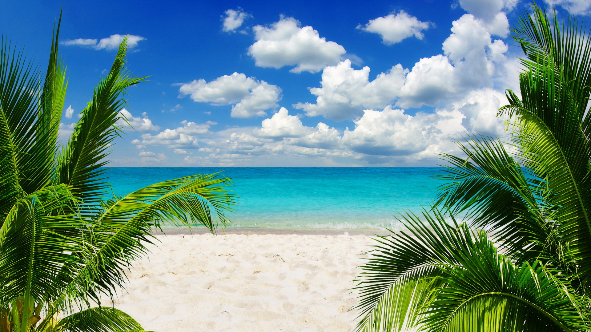 Free download wallpaper Earth, Tropical on your PC desktop