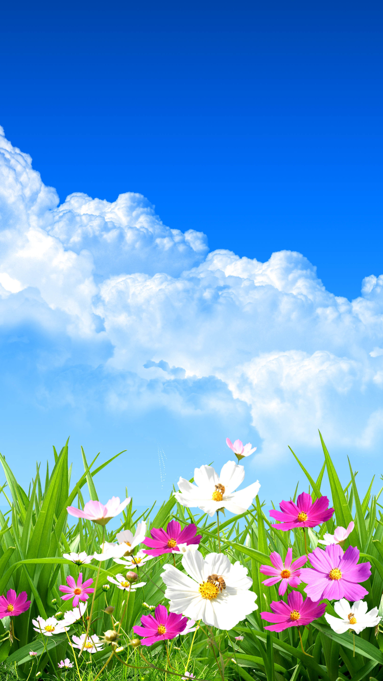 Скачать картинку Трава, Космос, Облака, Весна, Облако, Художественные в телефон бесплатно.