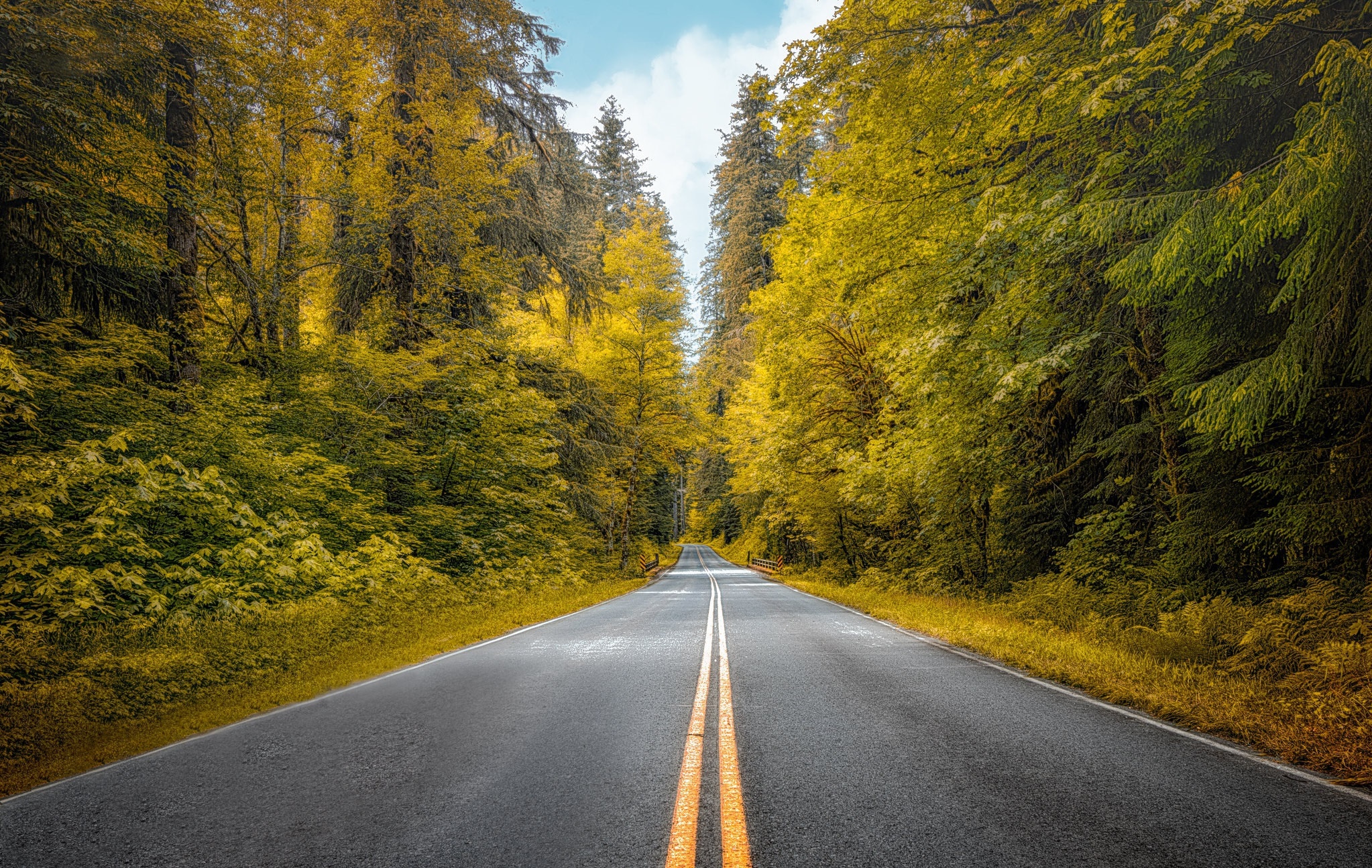 Free download wallpaper Nature, Road, Forest, Fall, Man Made on your PC desktop