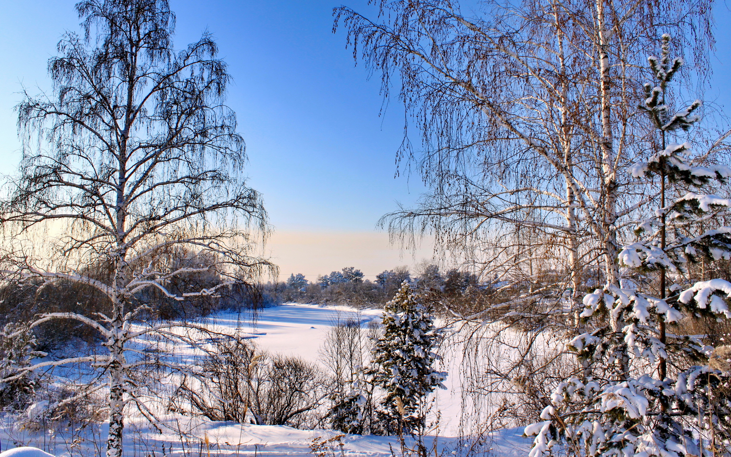 PCデスクトップに冬, 木, 雪, 地球画像を無料でダウンロード