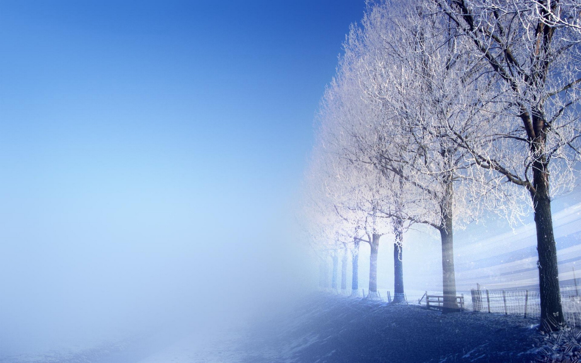 Descarga gratuita de fondo de pantalla para móvil de Árbol, Tierra/naturaleza.