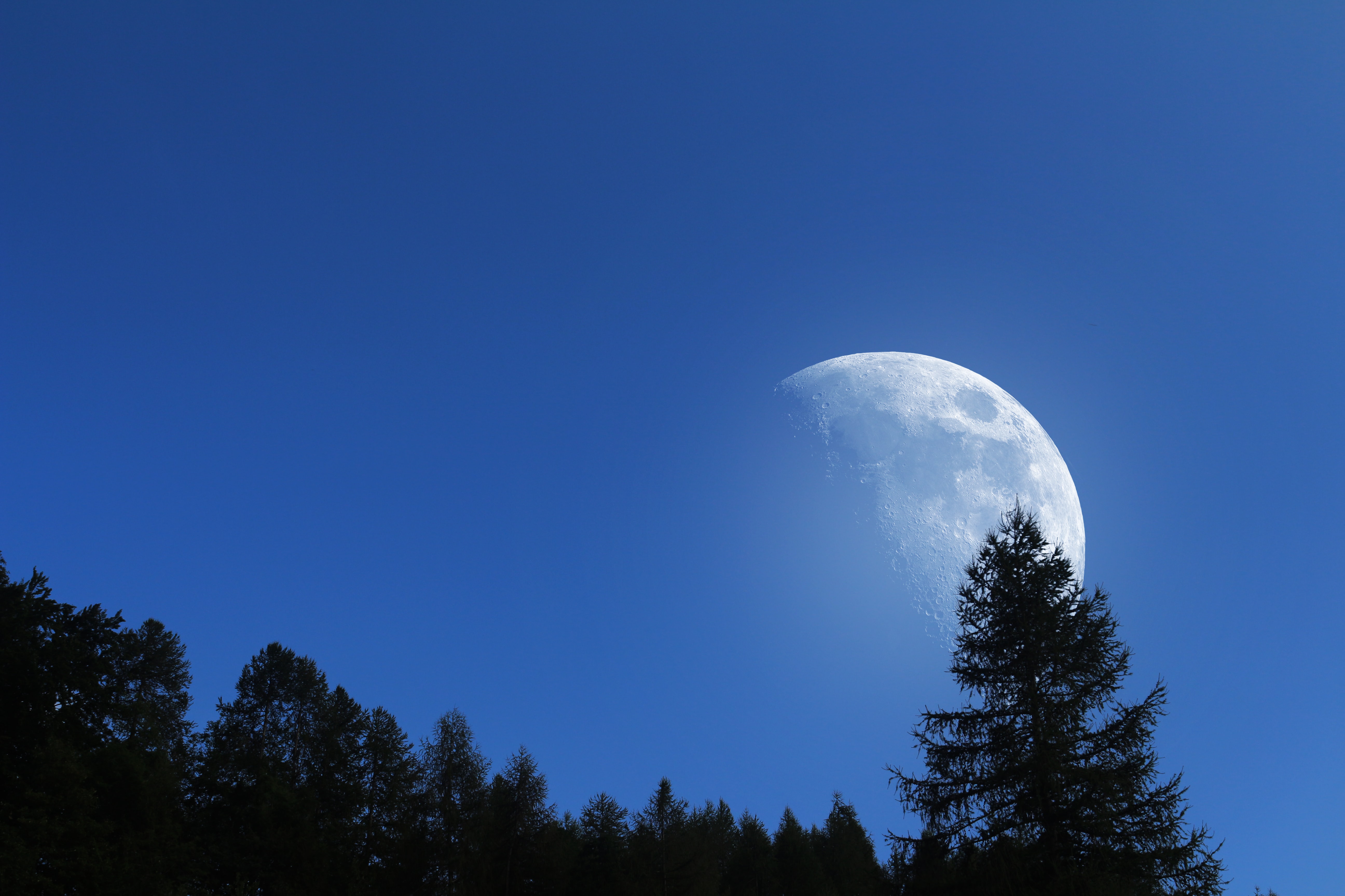 Descarga gratis la imagen Naturaleza, Árboles, Cielo, Luna en el escritorio de tu PC