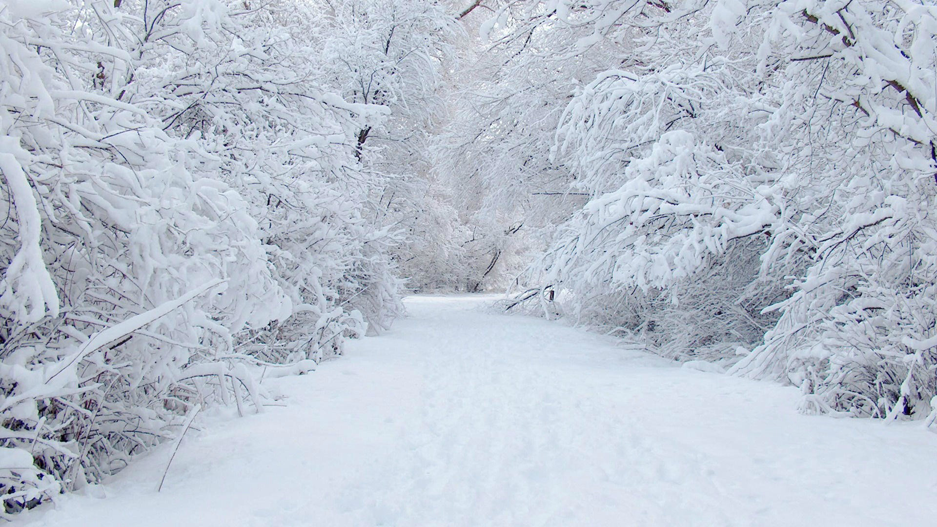 Скачать обои бесплатно Зима, Снег, Дорога, Белый, Дорожка, Земля/природа картинка на рабочий стол ПК