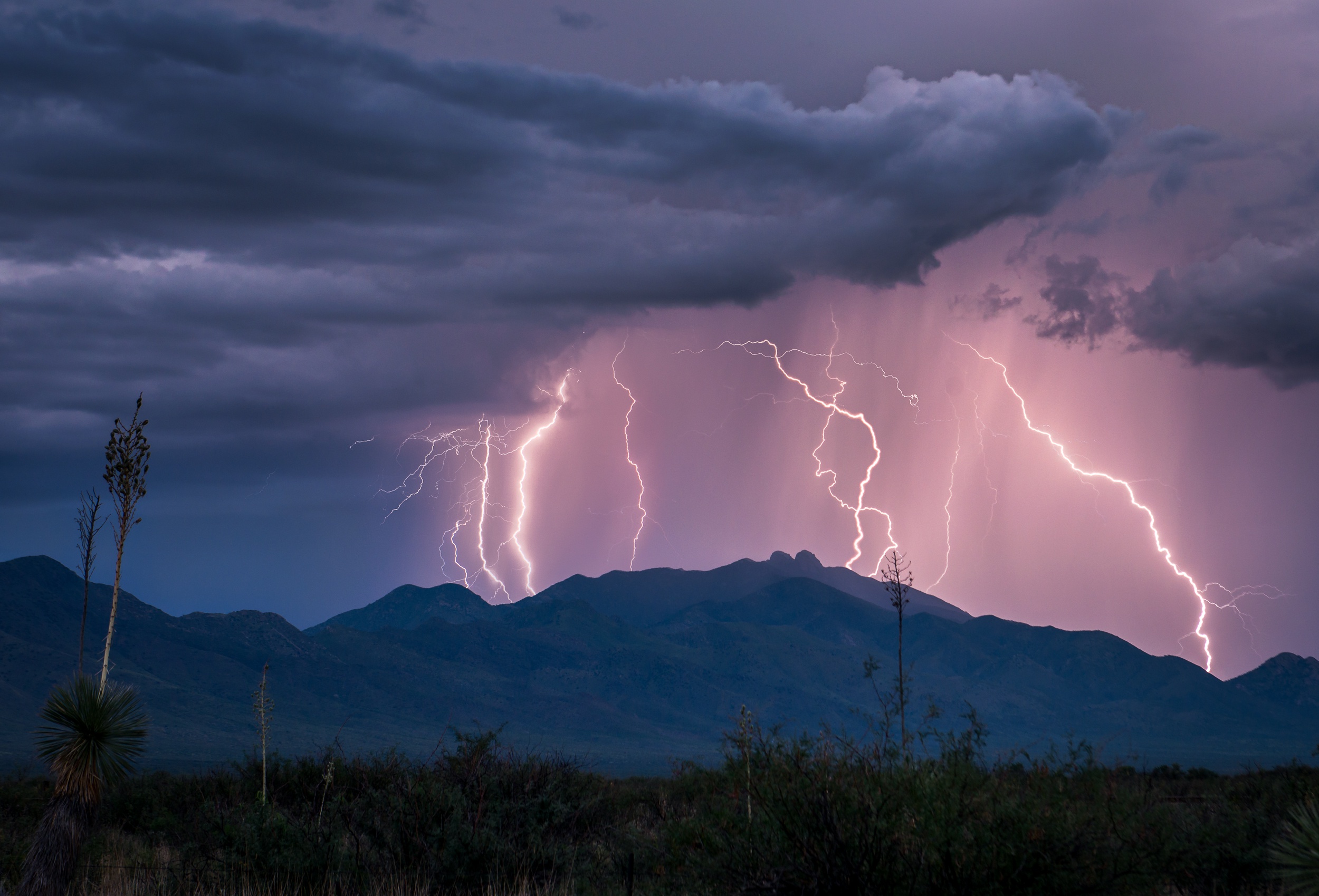 Baixe gratuitamente a imagem Céu, Eua, Tempestade, Nuvem, Fotografia, Raio, Arizona na área de trabalho do seu PC