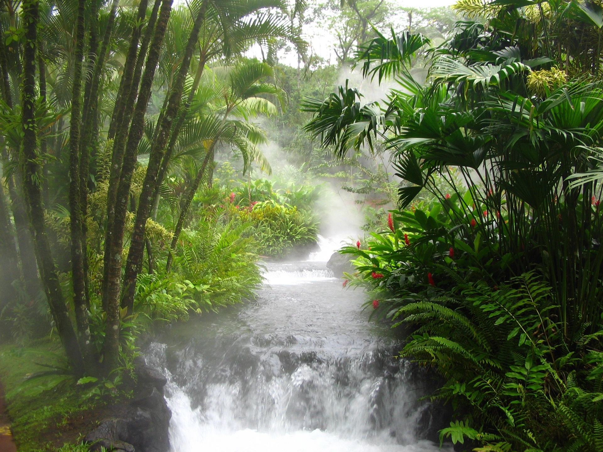 Free download wallpaper Waterfalls, Waterfall, Forest, Tree, Earth, Tropical on your PC desktop