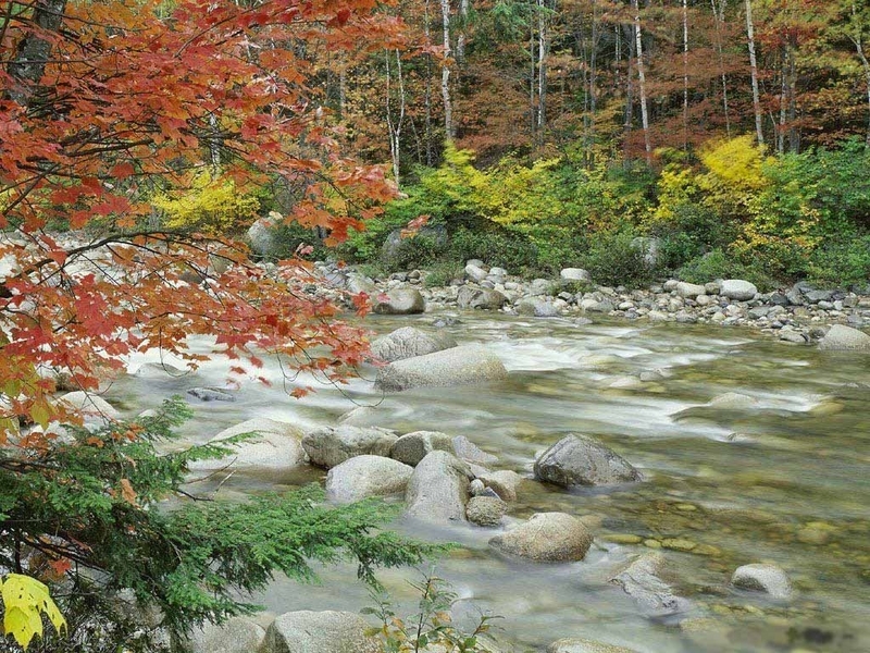 無料モバイル壁紙自然, 川, 風景をダウンロードします。