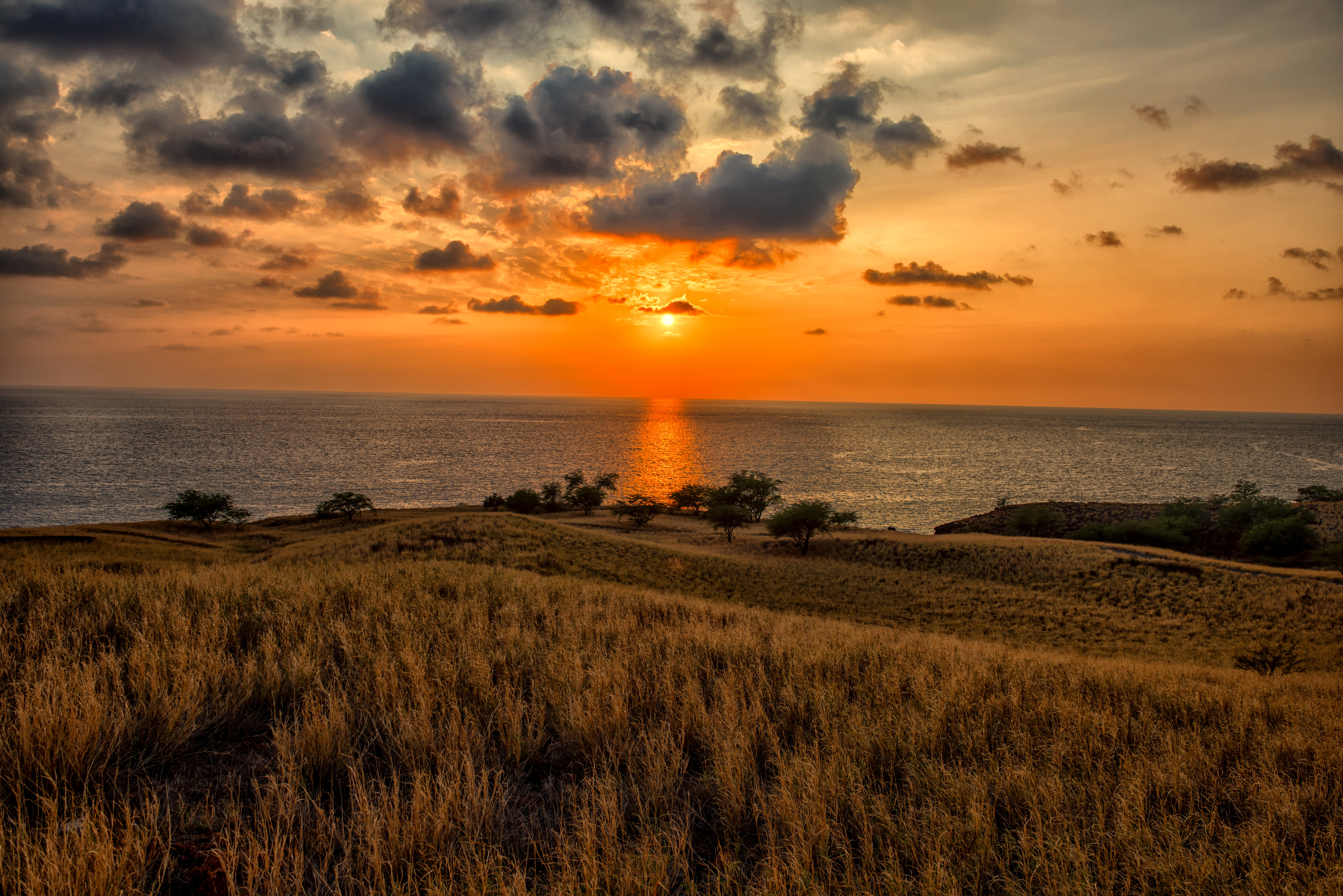 Download mobile wallpaper Sunset, Sea, Horizon, Tree, Ocean, Earth, Field for free.