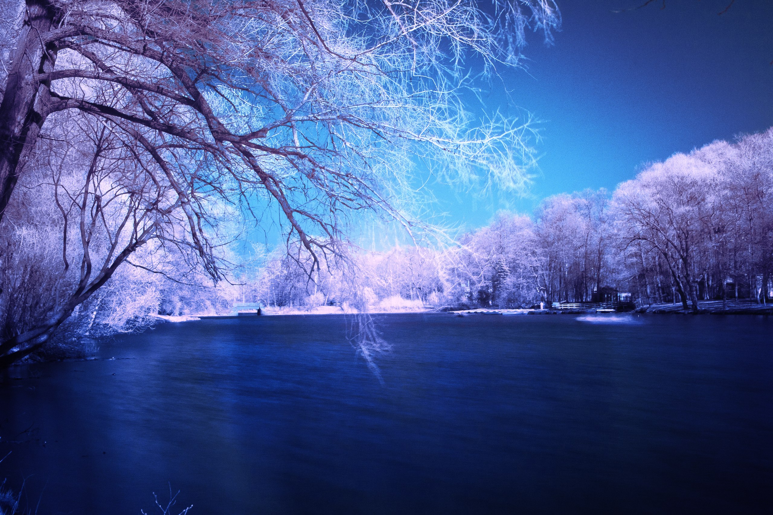 Скачать обои бесплатно Зима, Снег, Озеро, Дерево, Синий, Земля/природа картинка на рабочий стол ПК