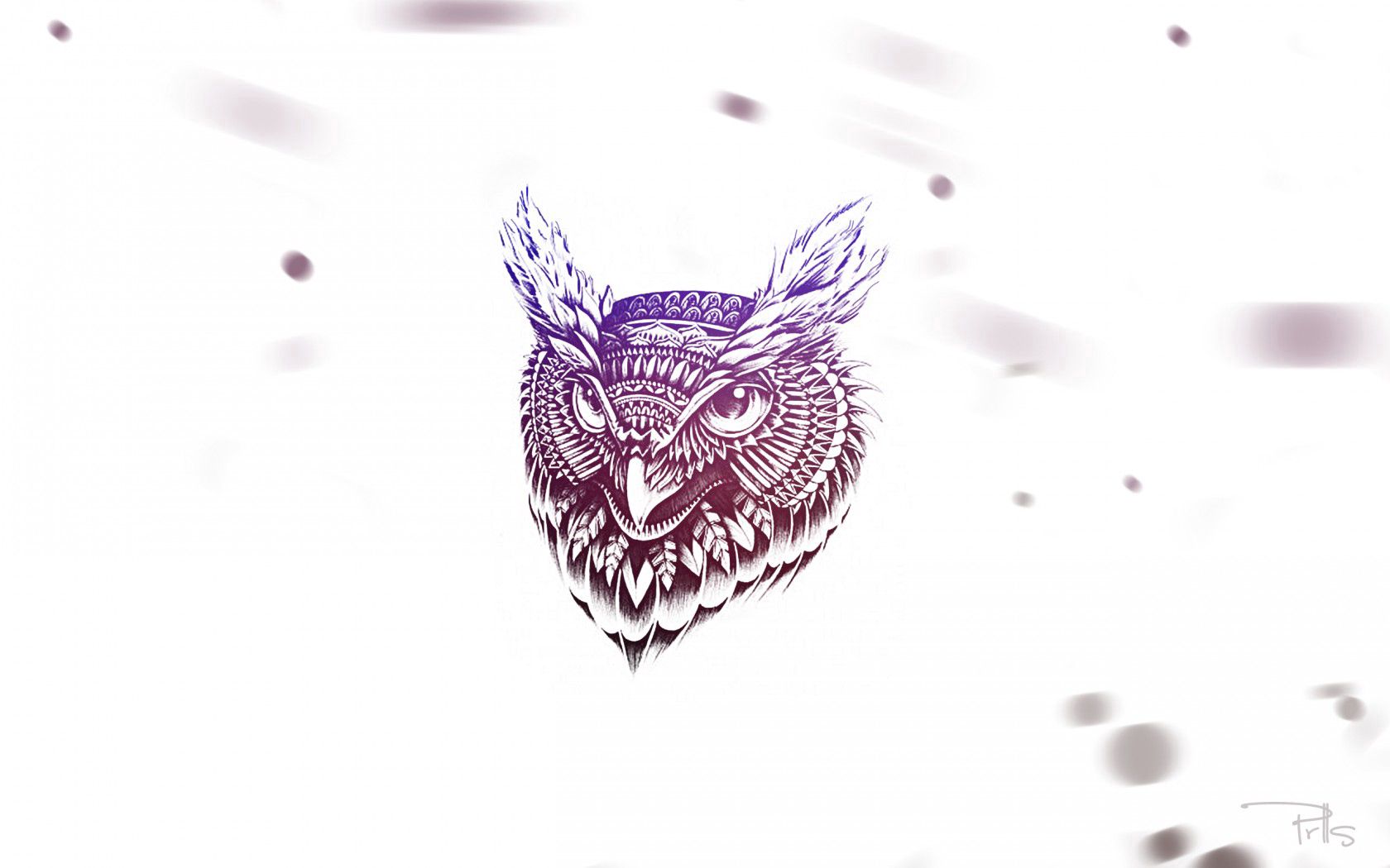 Free download wallpaper Feather, Face, Owl, Art, Vector on your PC desktop