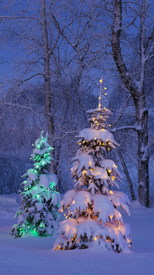 Download mobile wallpaper Winter, Snow, Light, Christmas, Holiday, Colors, Christmas Tree for free.