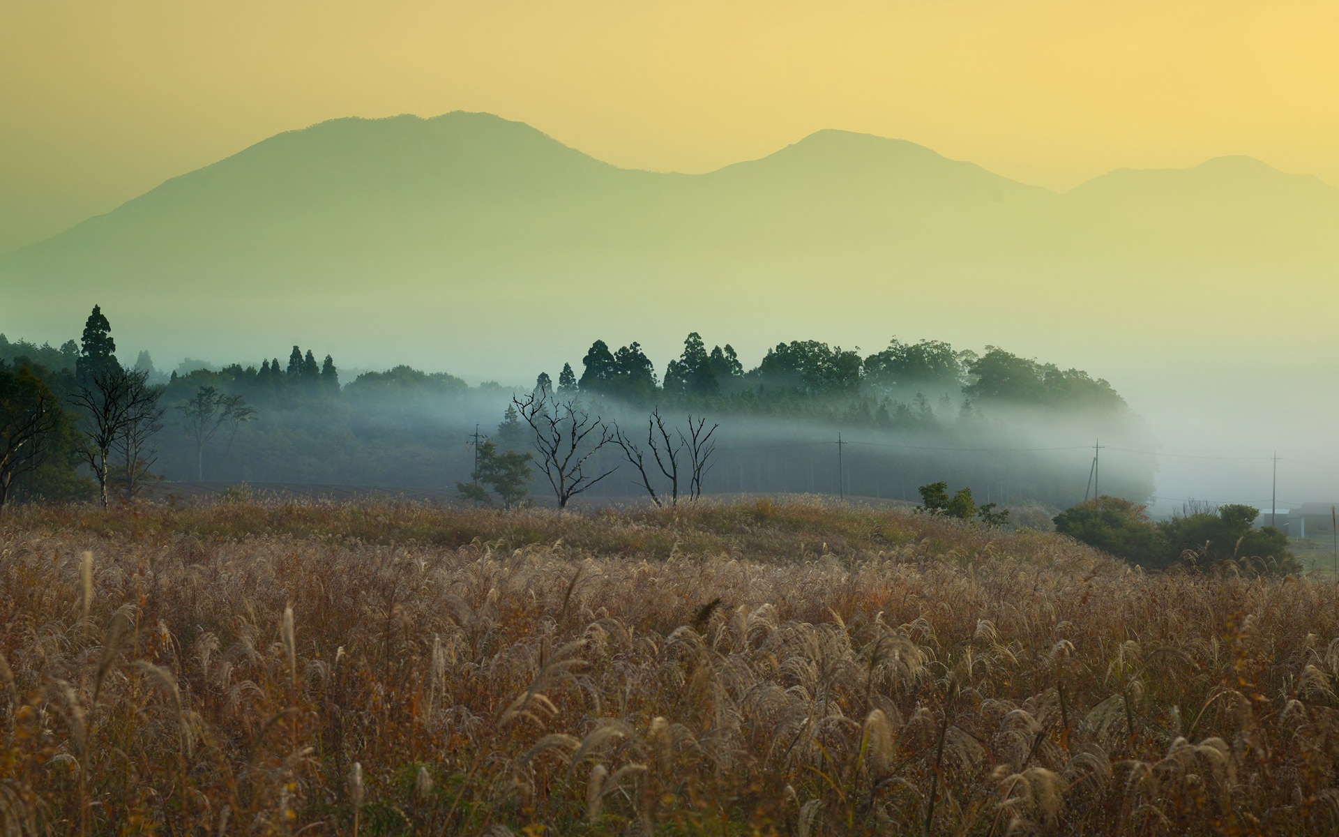 Descarga gratis la imagen Paisaje, Tierra/naturaleza en el escritorio de tu PC