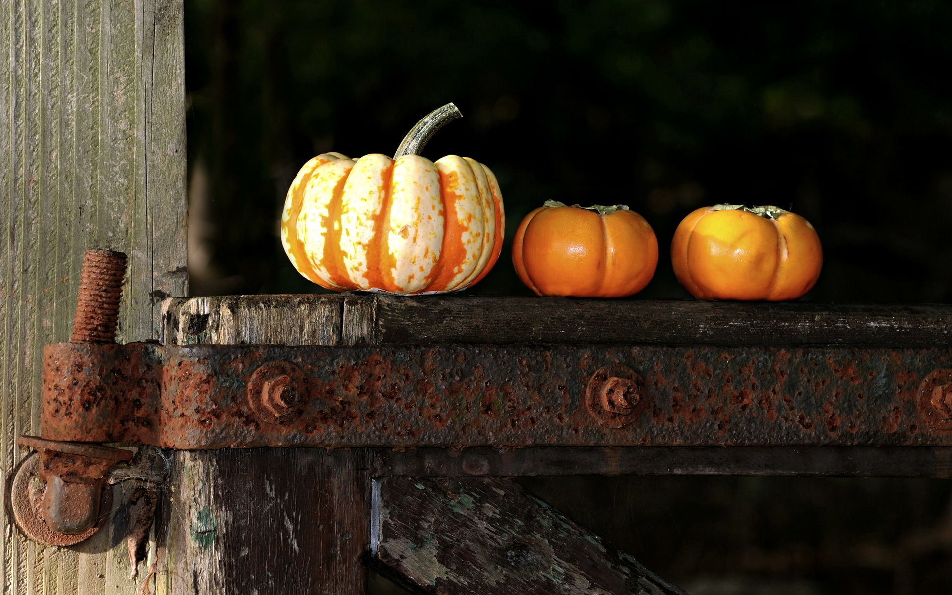 Descarga gratuita de fondo de pantalla para móvil de Calabaza, Alimento.