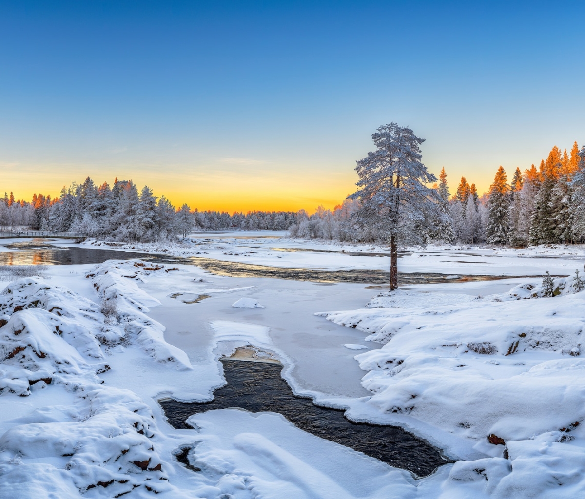 Baixe gratuitamente a imagem Inverno, Natureza, Neve, Rio, Árvore, Congeladas, Terra/natureza, Frozen Uma Aventura Congelante na área de trabalho do seu PC