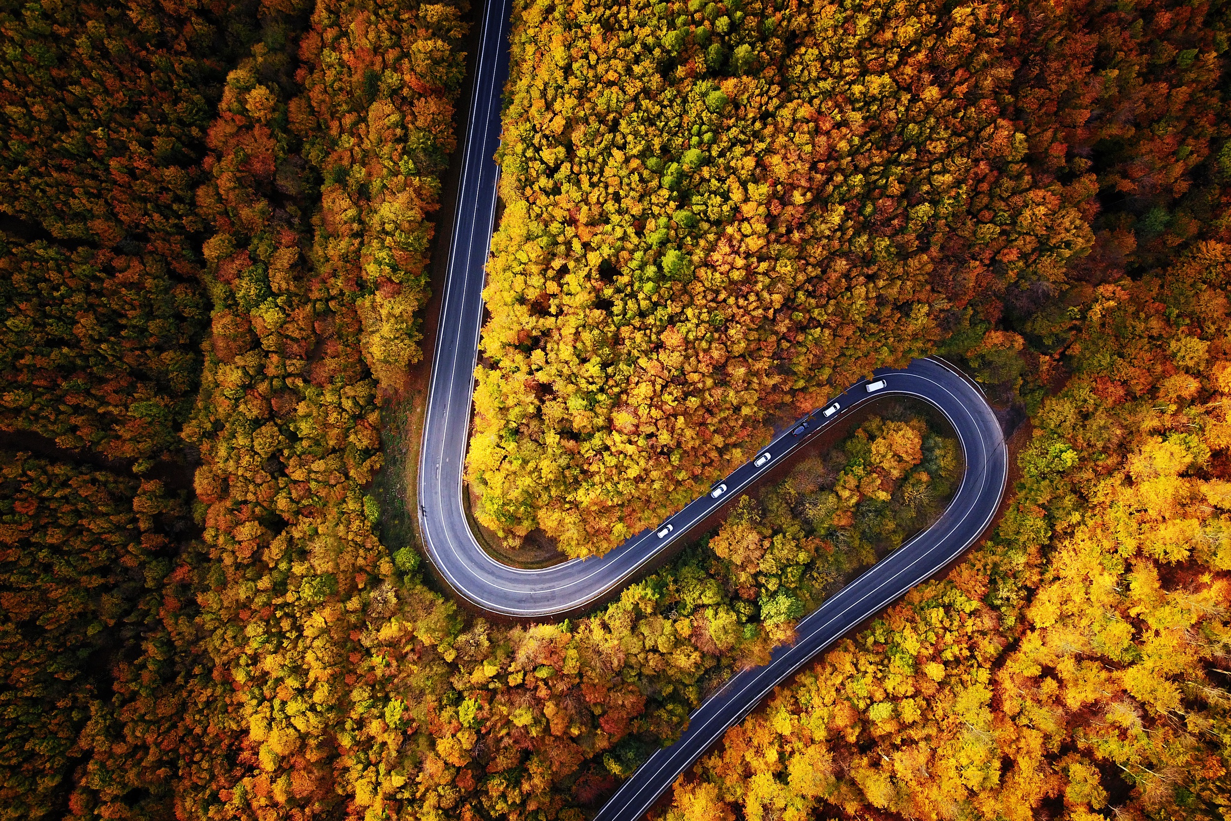 Laden Sie das Herbst, Straße, Baum, Menschengemacht, Luftbildfotografie-Bild kostenlos auf Ihren PC-Desktop herunter