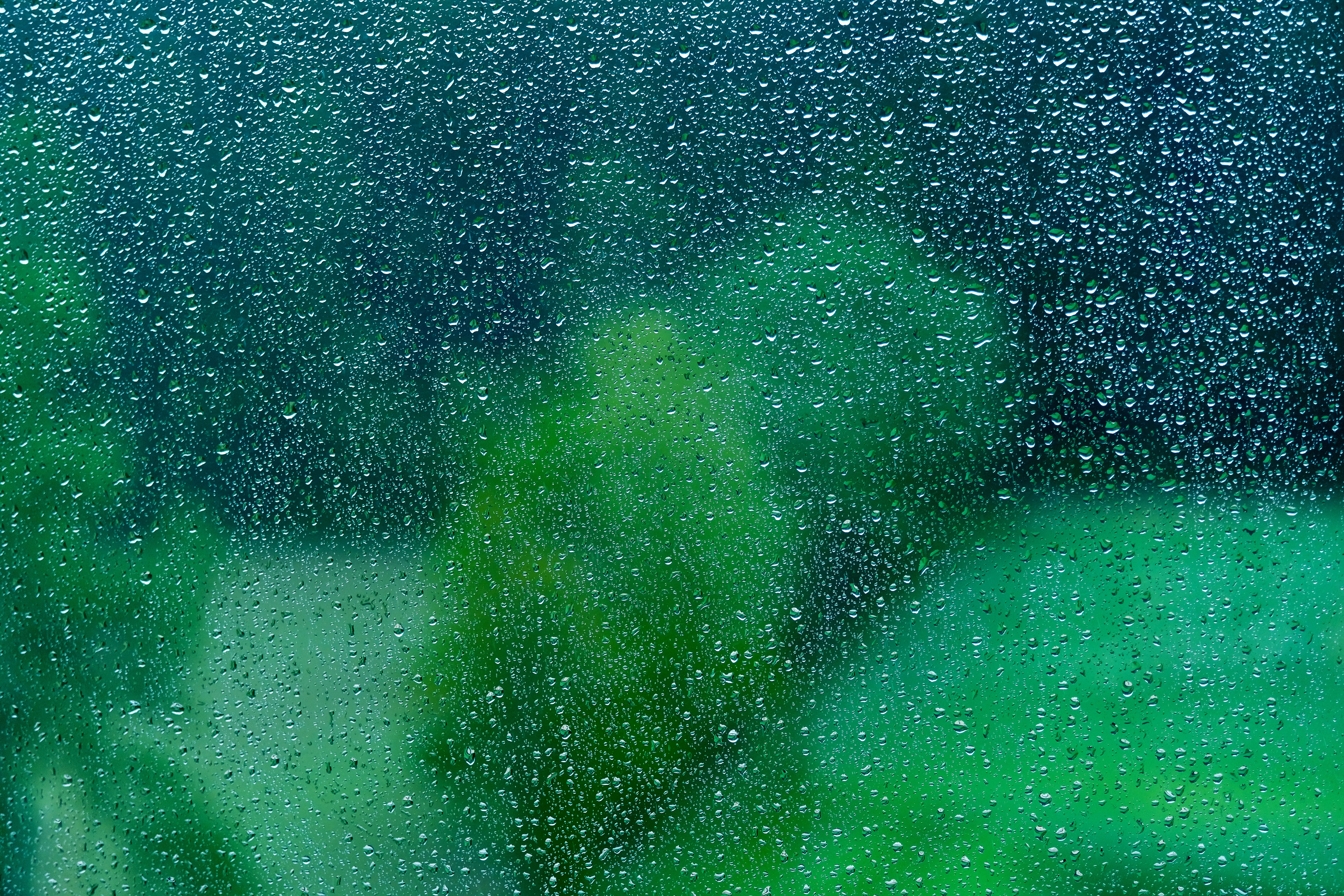 56673 скачать картинку капли, поверхность, мокрый, дождь, макро, прозрачный, стекло, зеленый - обои и заставки бесплатно
