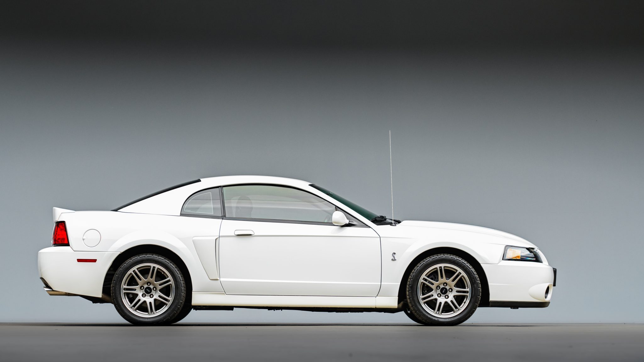 Скачати мобільні шпалери Форд, Автомобіль, Muscle Car, Купе, Транспортні Засоби, Білий Автомобіль, Ford Mustang Svt Cobra безкоштовно.
