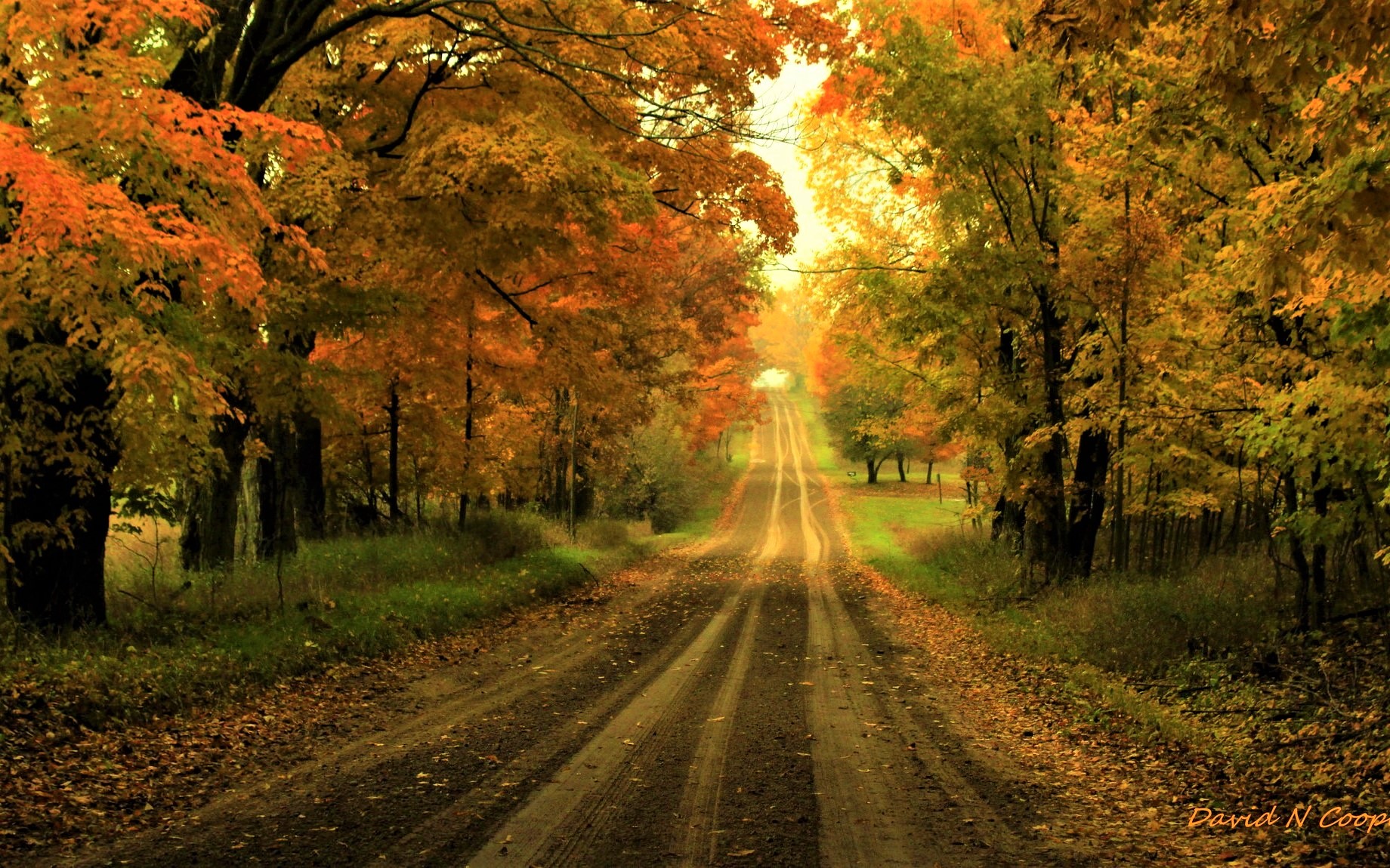Download mobile wallpaper Road, Tree, Fall, Man Made, Dirt Road for free.