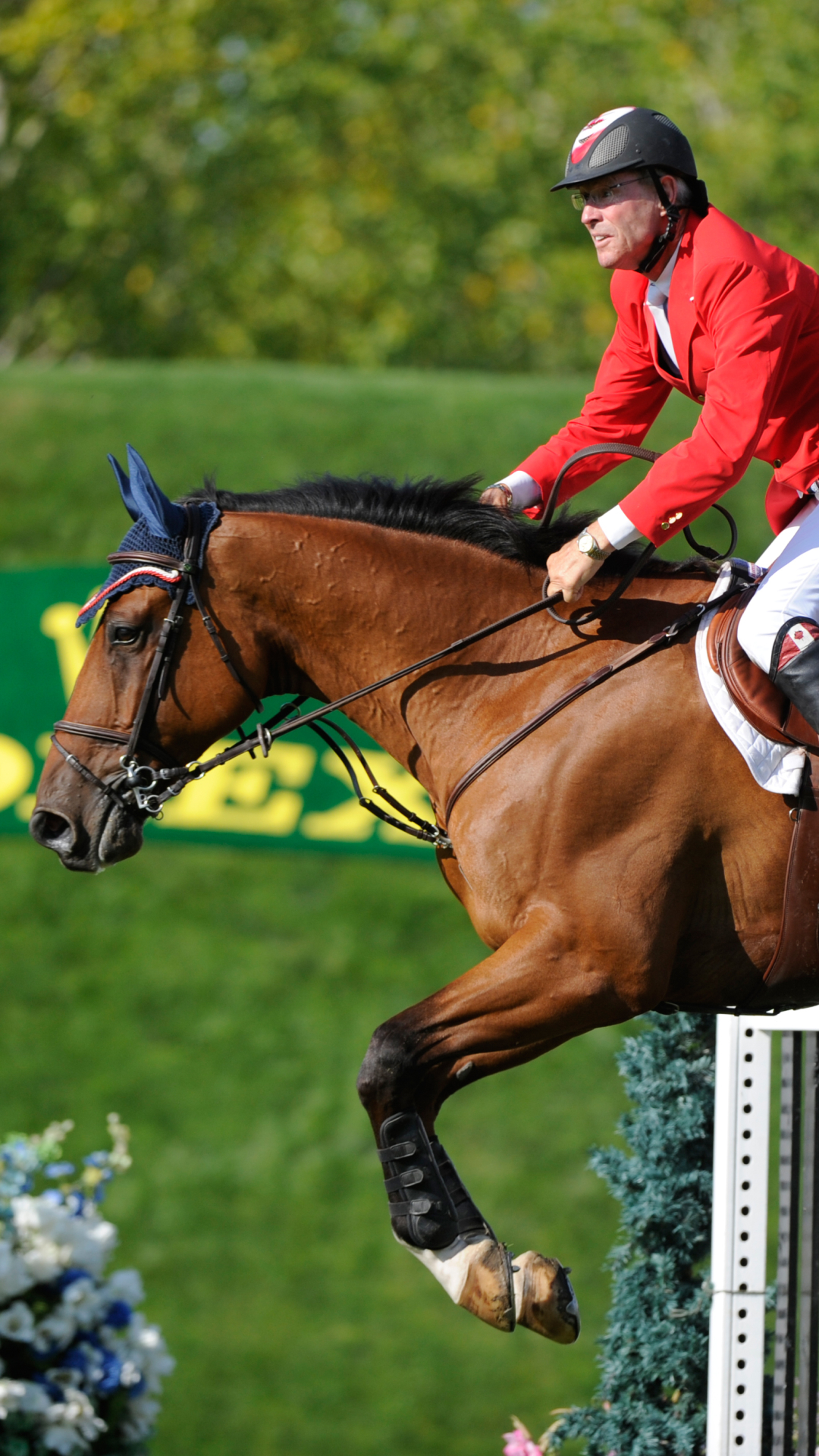 Download mobile wallpaper Sports, Show Jumping for free.