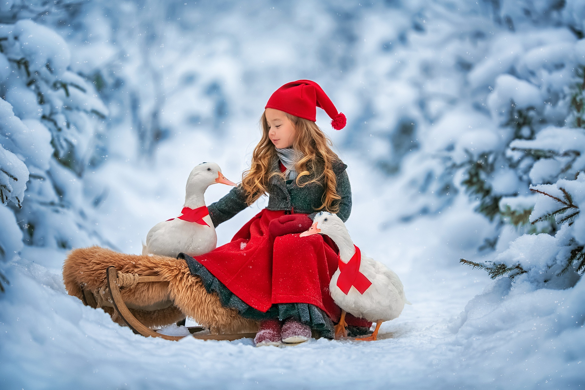Download mobile wallpaper Winter, Snow, Redhead, Child, Hat, Photography, Goose for free.
