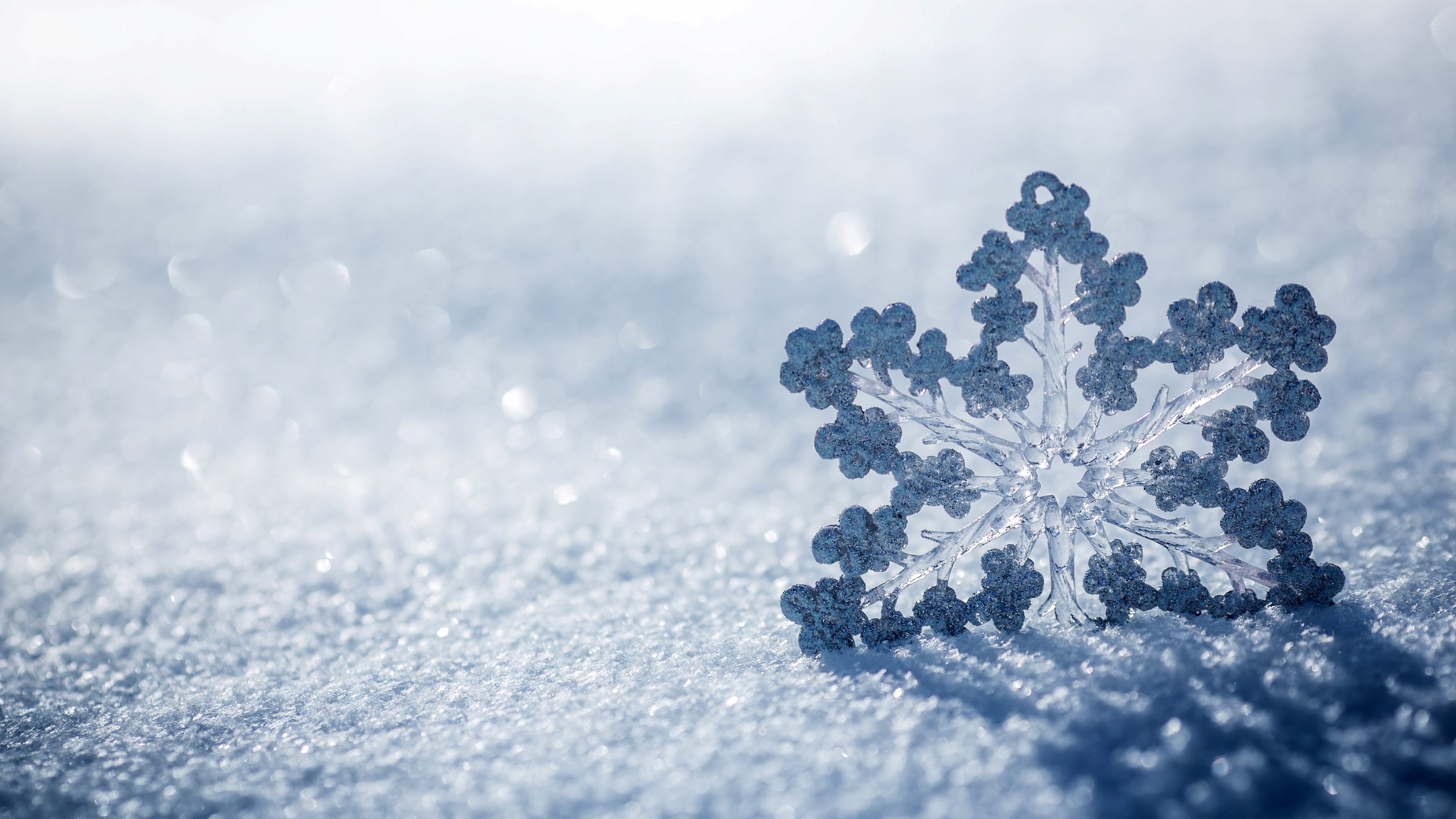 snowflake, earth, nature, snow, winter
