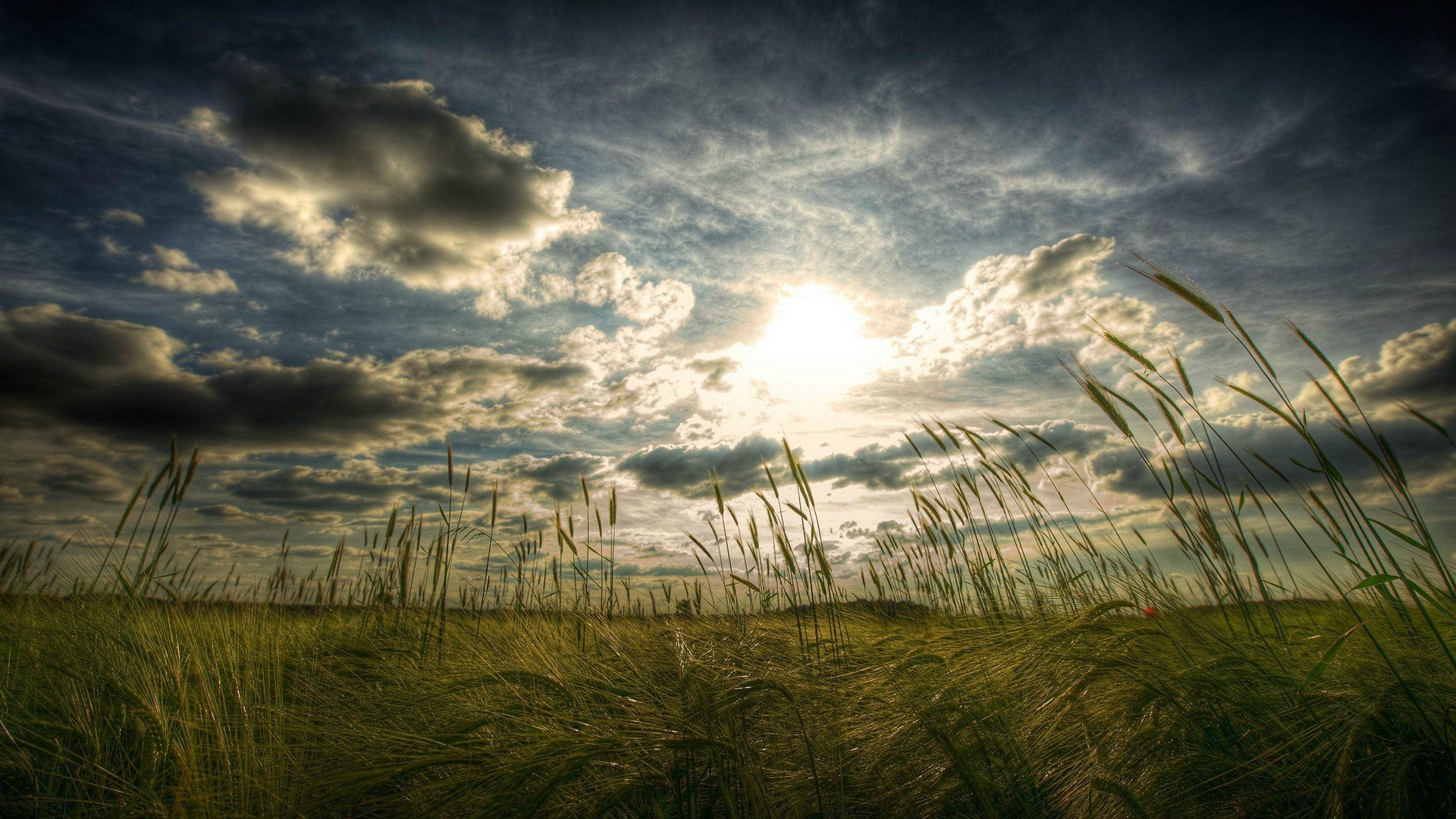 Laden Sie das Landschaft, Erde/natur-Bild kostenlos auf Ihren PC-Desktop herunter