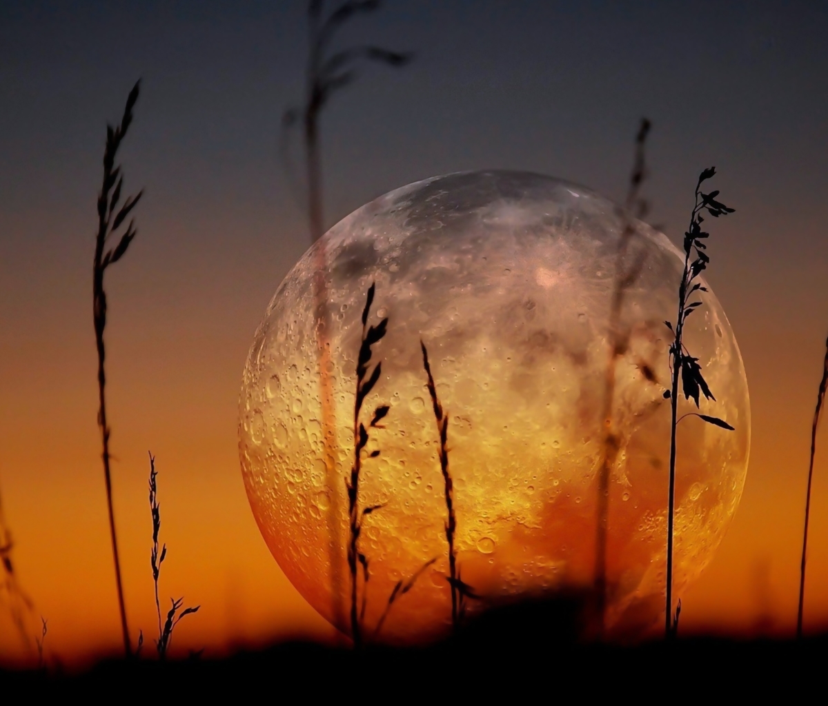 Download mobile wallpaper Nature, Sunset, Moon, Earth for free.