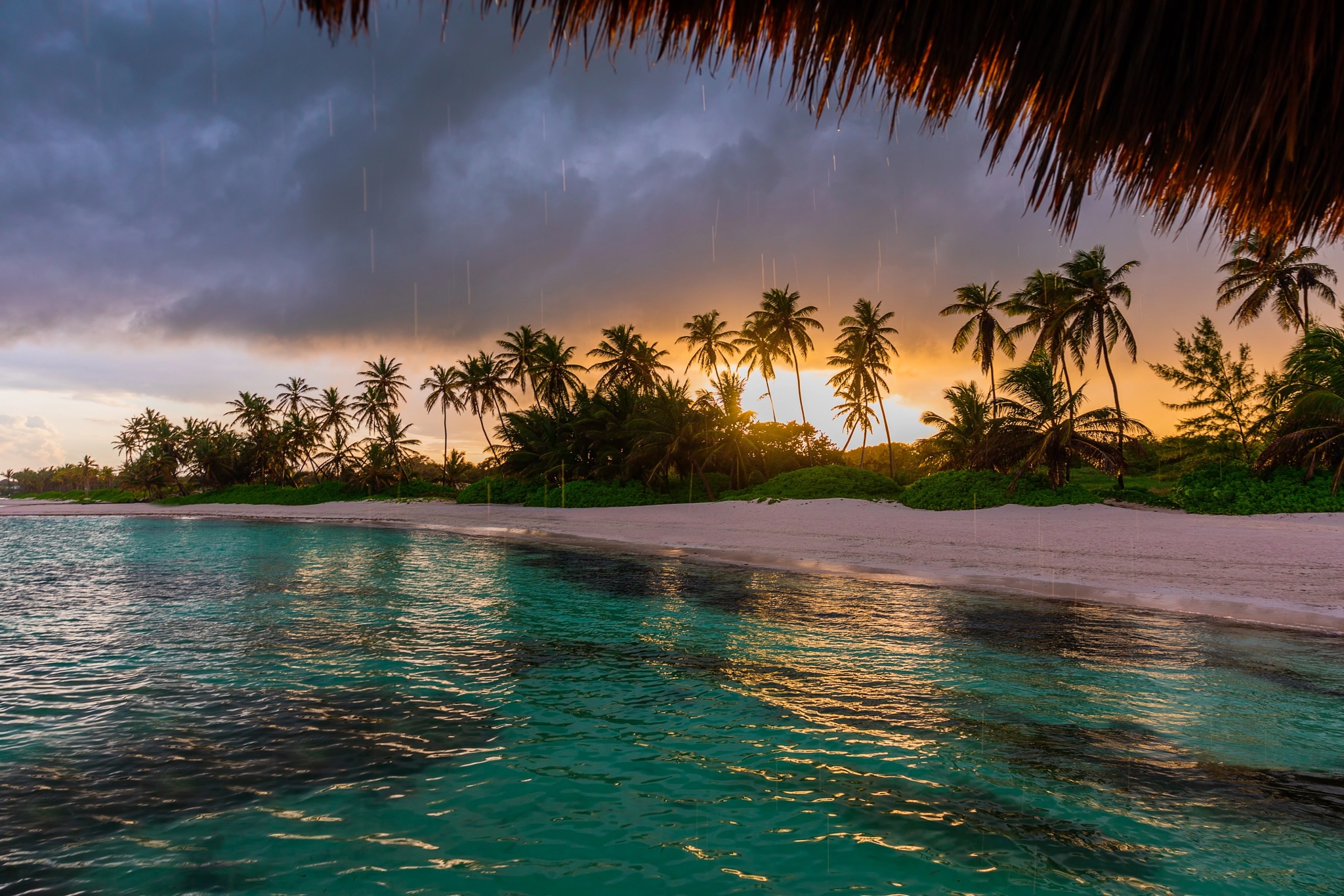 Laden Sie das Natur, Strand, Palme, Erde/natur-Bild kostenlos auf Ihren PC-Desktop herunter
