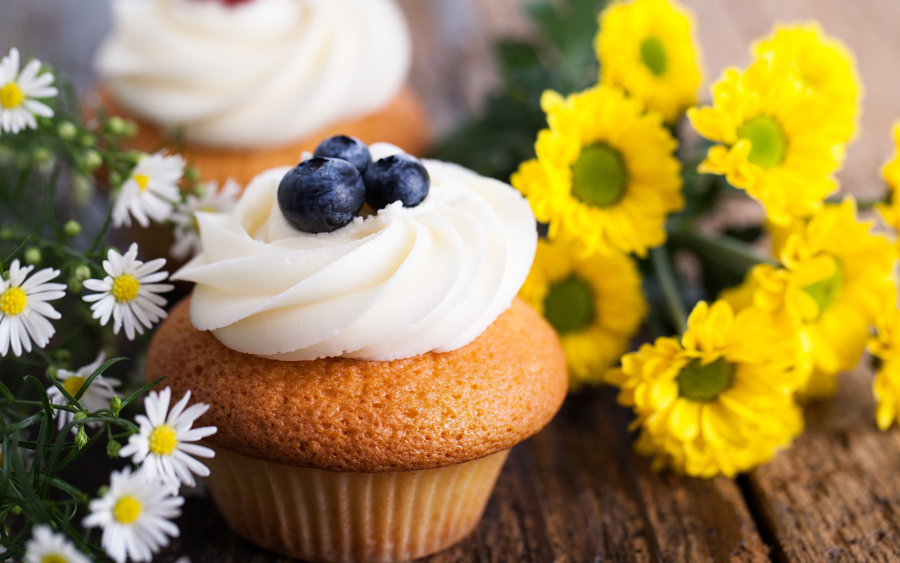 Téléchargez gratuitement l'image Nourriture, Petit Gâteau sur le bureau de votre PC