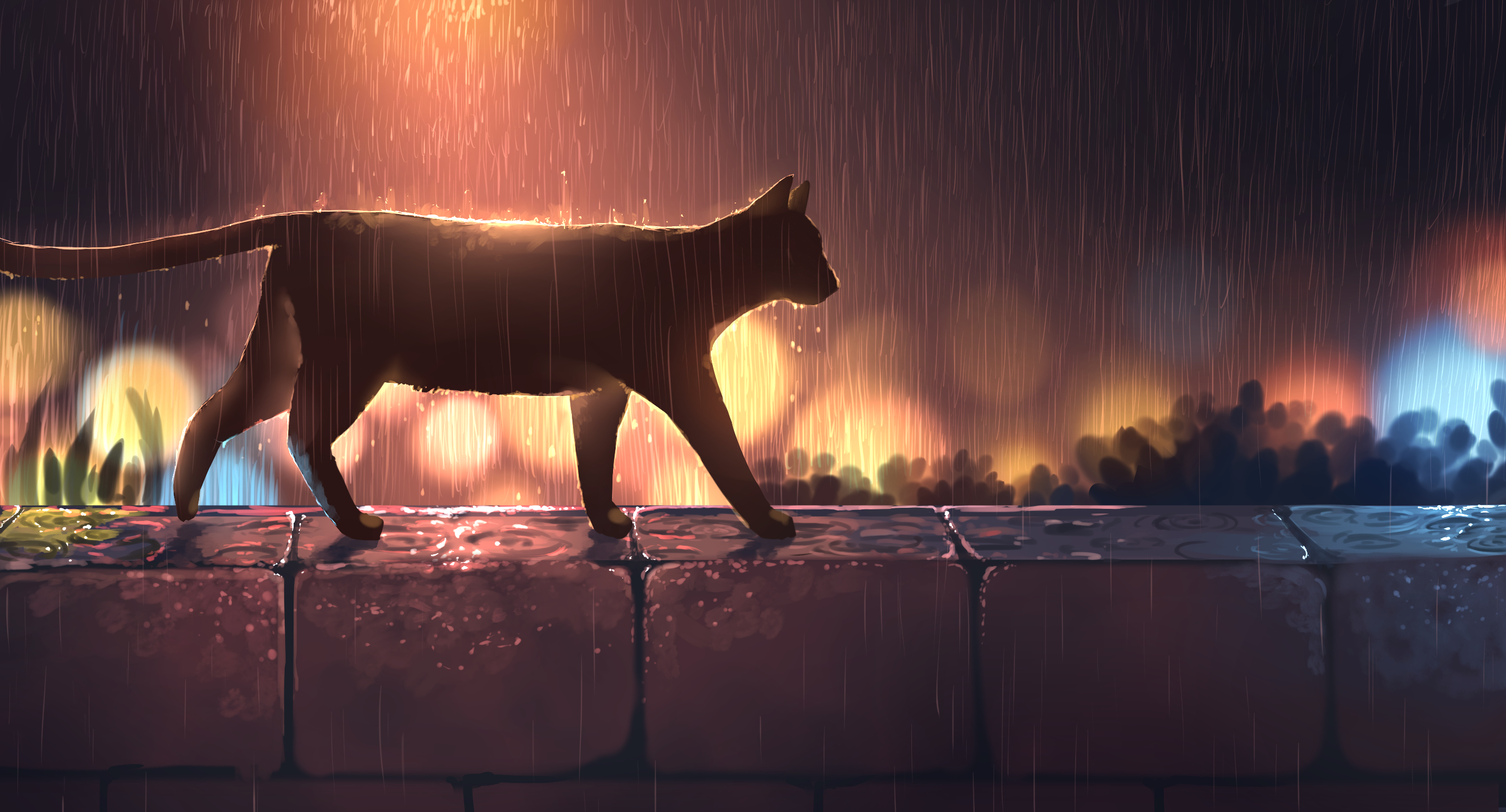 Download mobile wallpaper Anime, Rain, Cat for free.