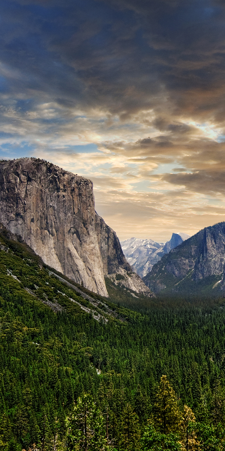 Скачать картинку Пейзаж, Гора, Лес, Национальный Парк, Ландшафт, Йосемитский Национальный Парк, Земля/природа, Йосемитский Водопад в телефон бесплатно.